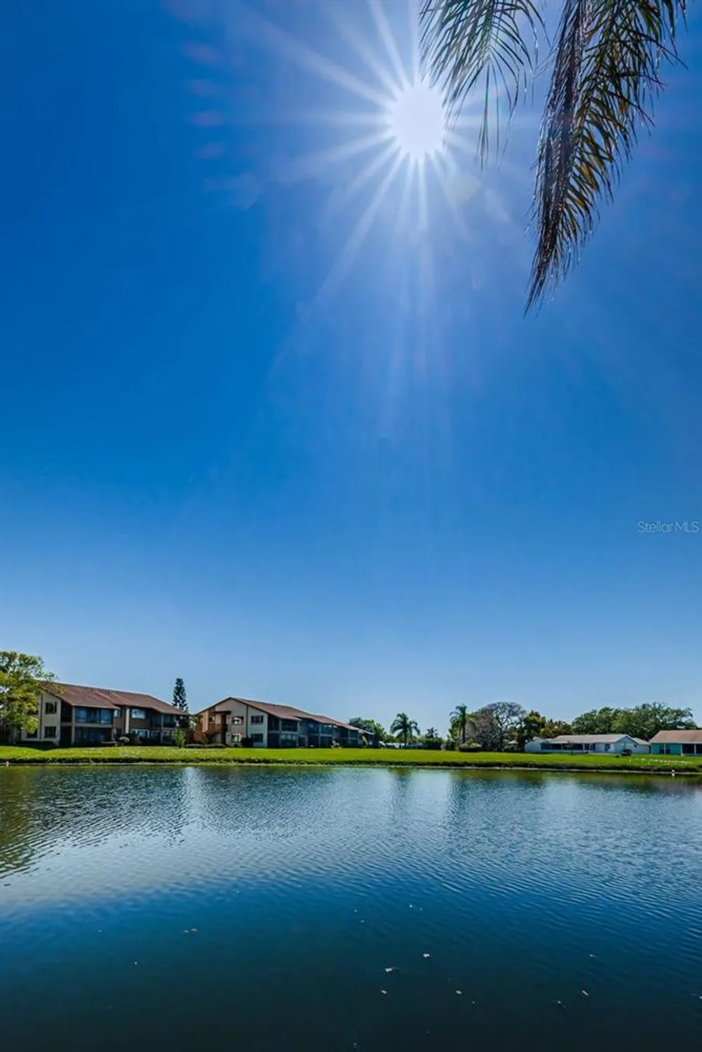 Property Slideshow image 62 of 89 | 3847 lighthouse way # 3847, New Port Richey, FL, 34652
