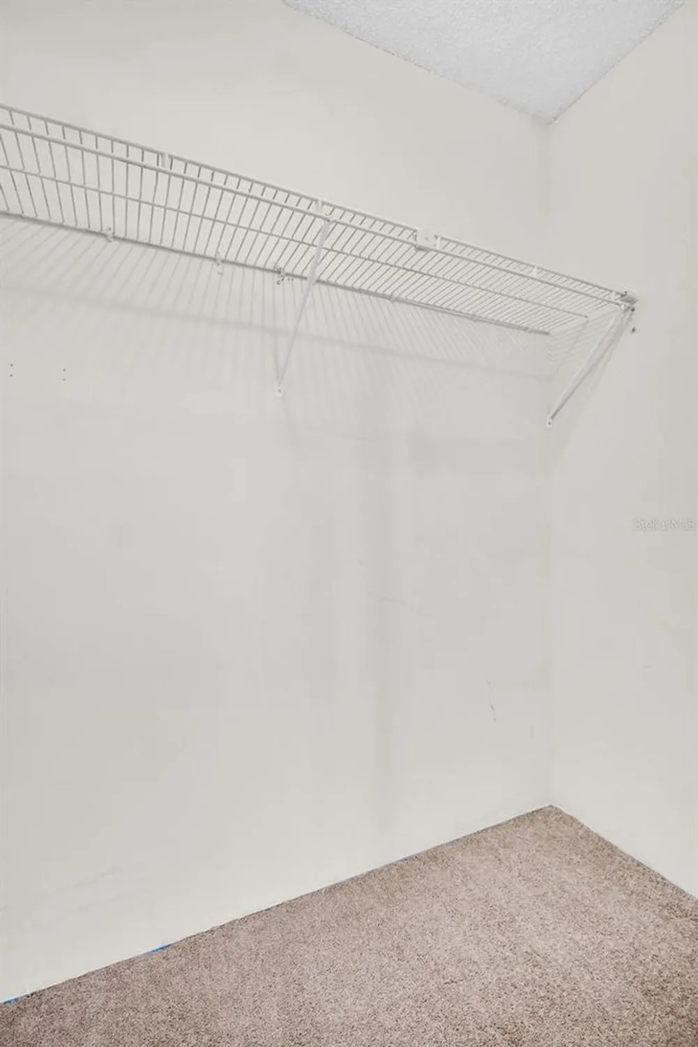 Property Slideshow image 16 of 62 | 3109 mission grove dr d, Palm Harbor, FL, 34684