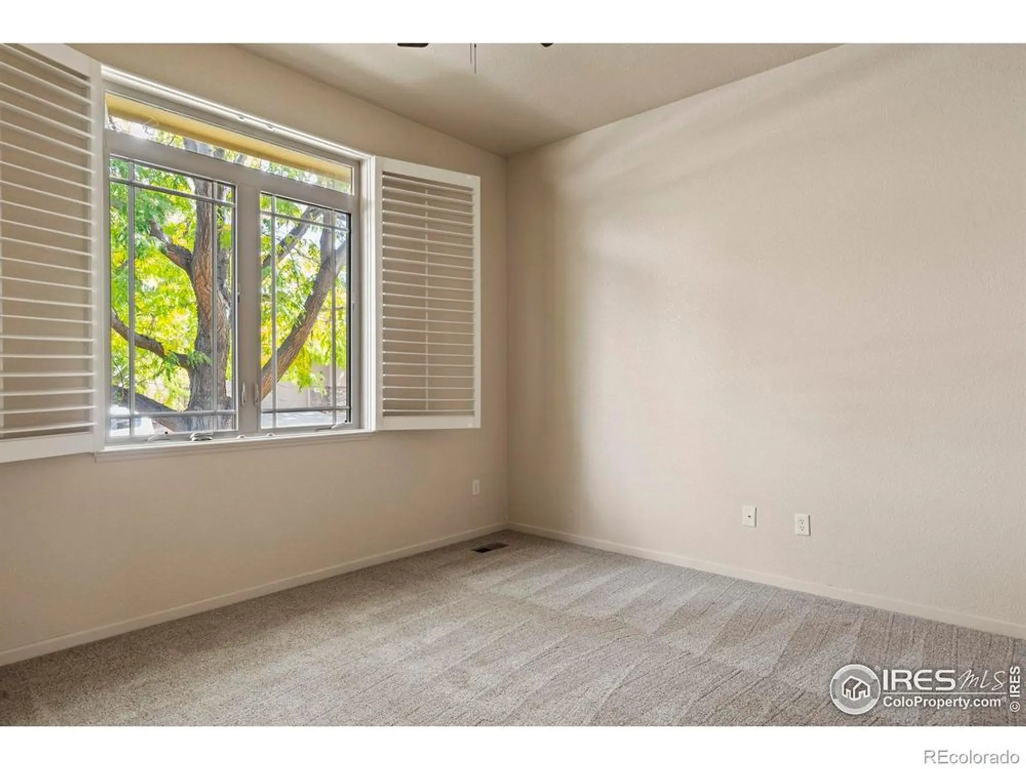 Property Slideshow image 19 of 49 | 6535 half moon bay dr, Windsor, CO, 80550