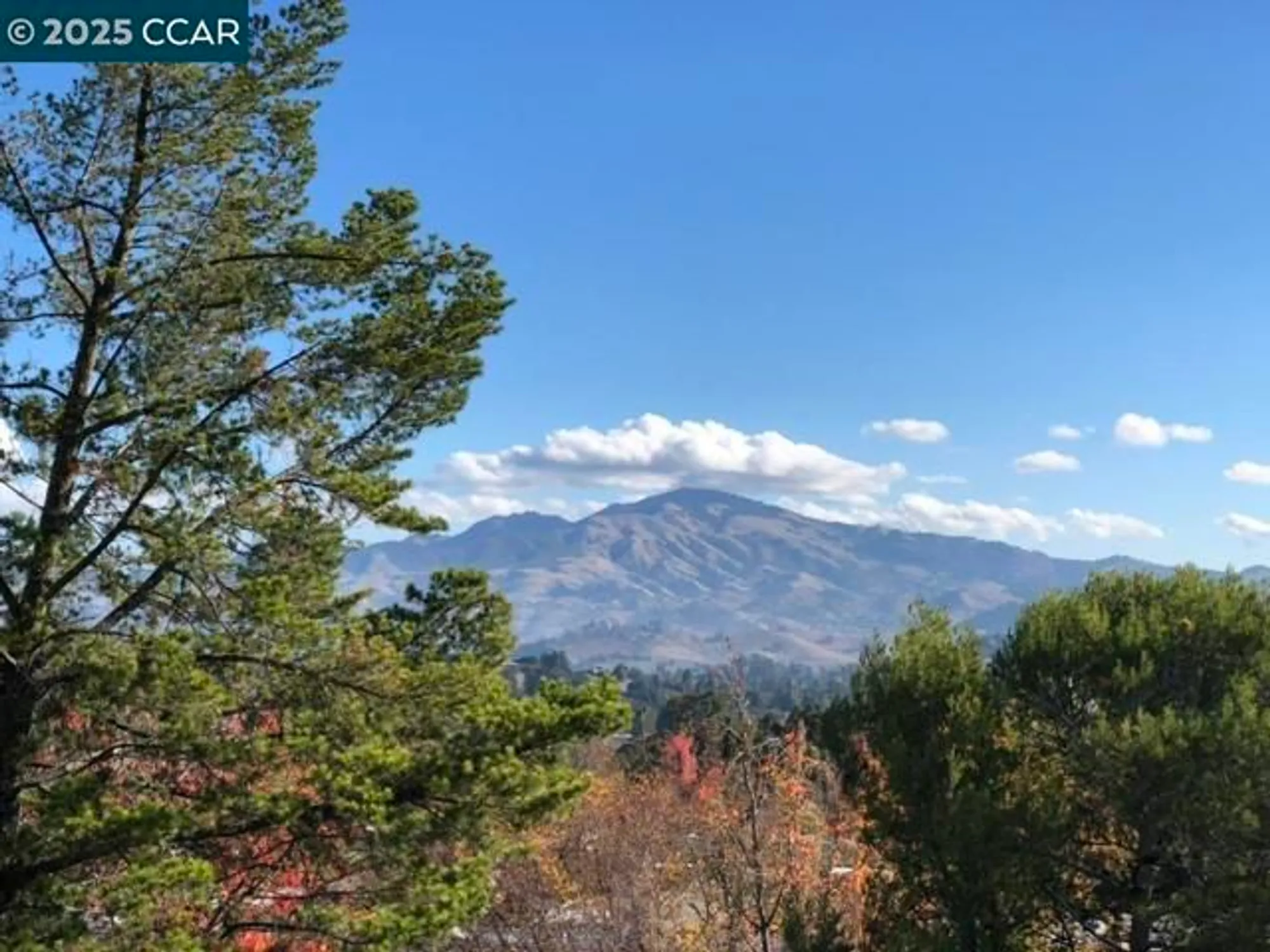 Property Slideshow image 41 of 48 | 2933 ptarmigan dr 3, Walnut Creek, CA, 94595