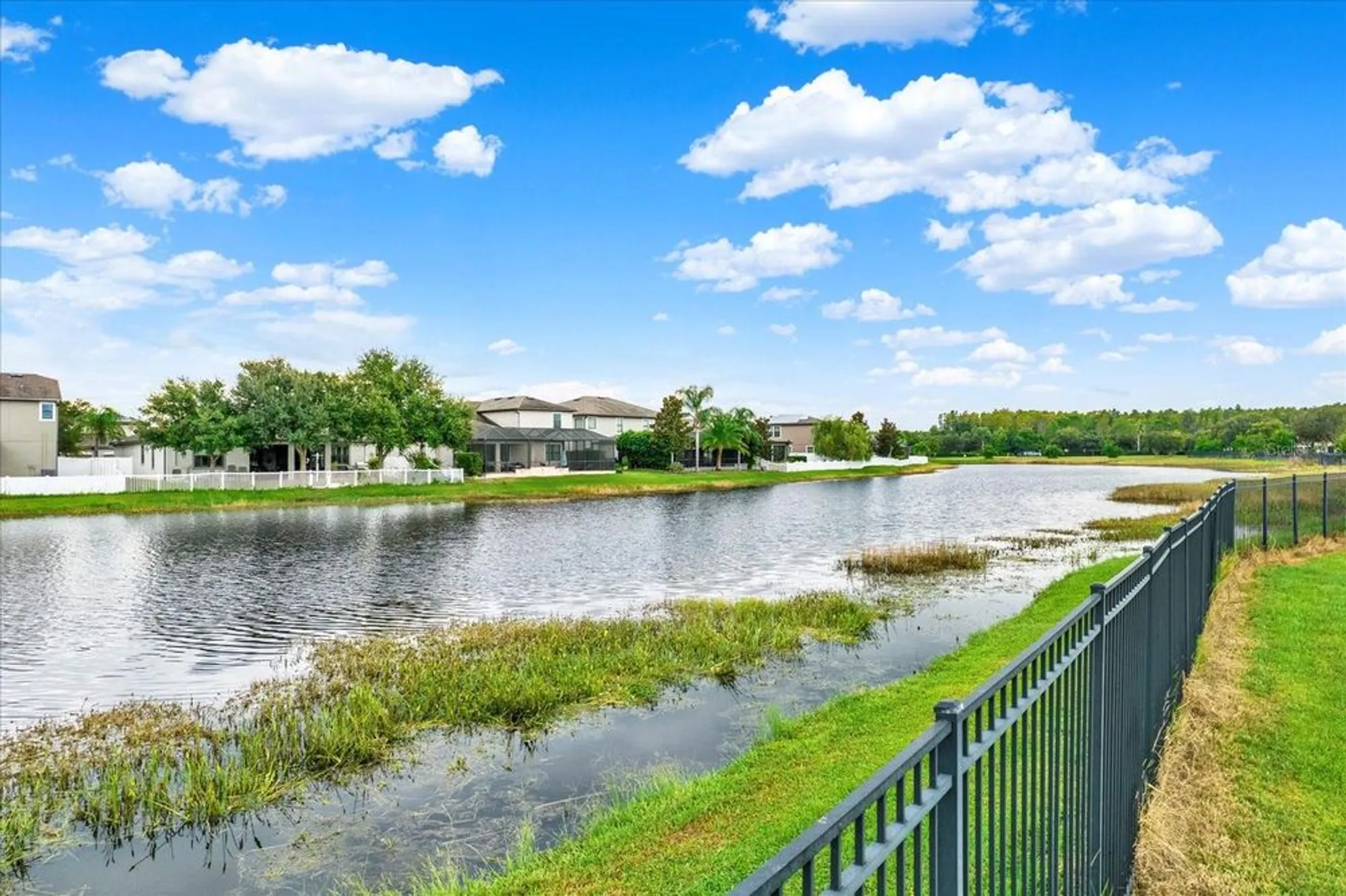 Property Slideshow image 49 of 49 | 1851 arbor knoll loop, Trinity, FL, 34655