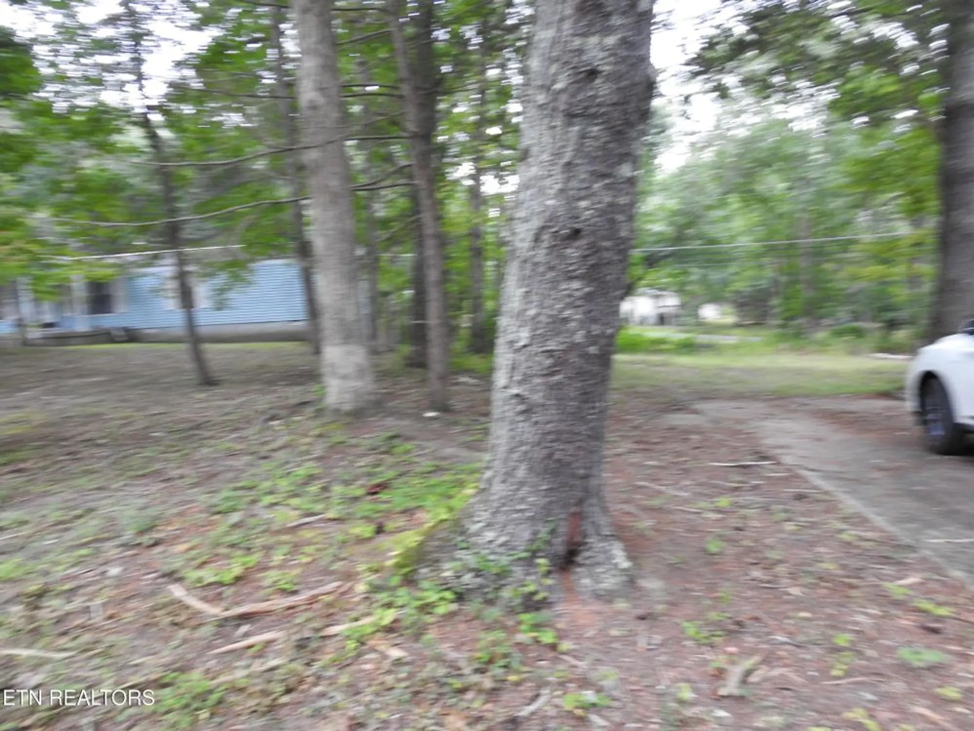 Property Slideshow image 20 of 42 | 244 rugby rd, Crossville, TN, 38558