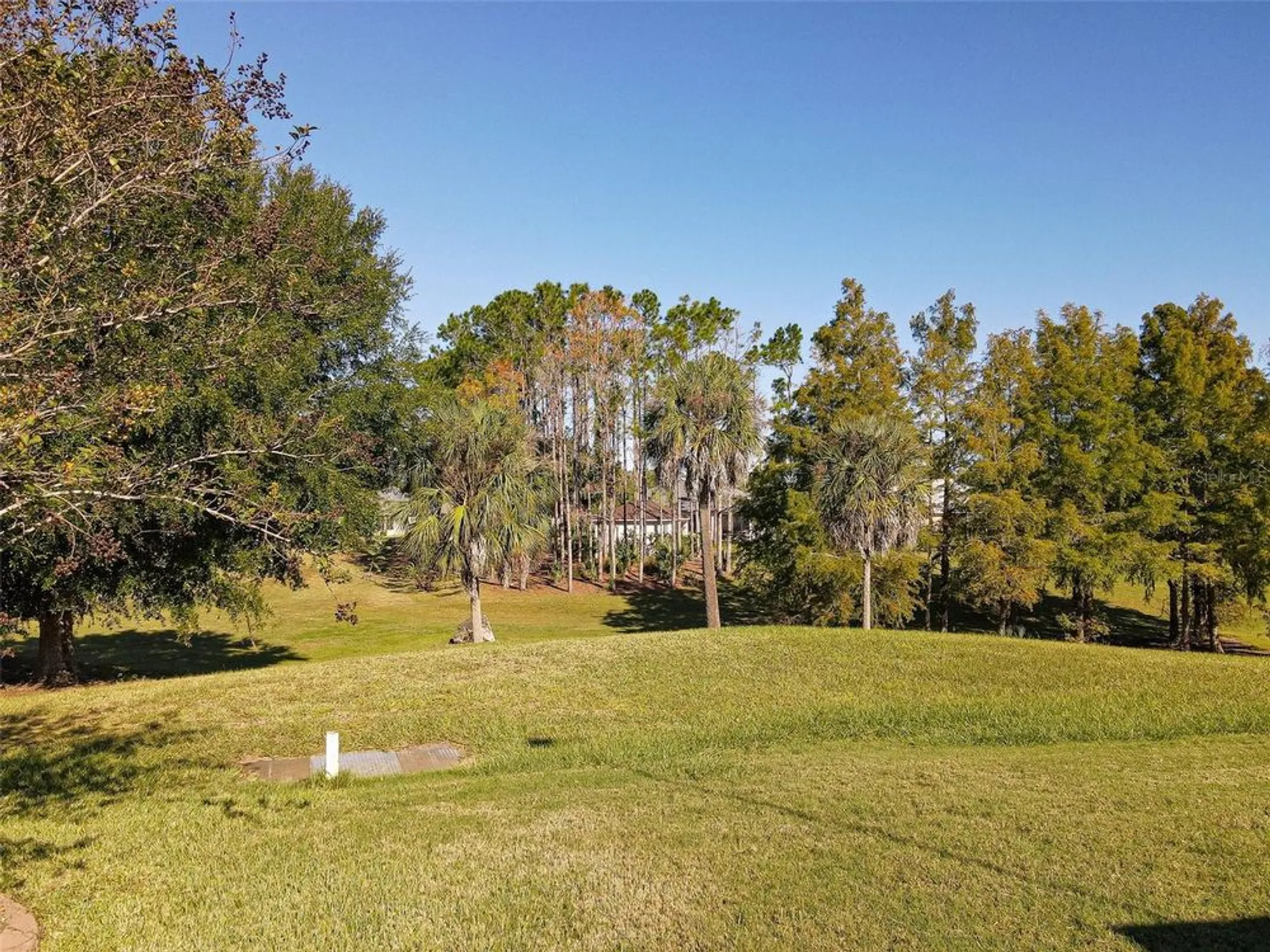 Property Slideshow image 51 of 92 | 8845 se 132nd loop, Summerfield, FL, 34491