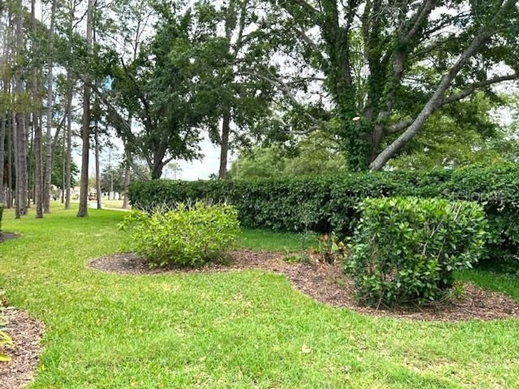 Property Slideshow image 22 of 40 | 11752 wayside willow ct, Hudson, FL, 34667