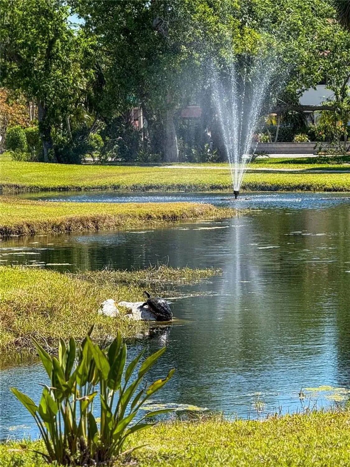 Property Slideshow image 40 of 44 | 4640 red maple rd # 1208, Bradenton, FL, 34210