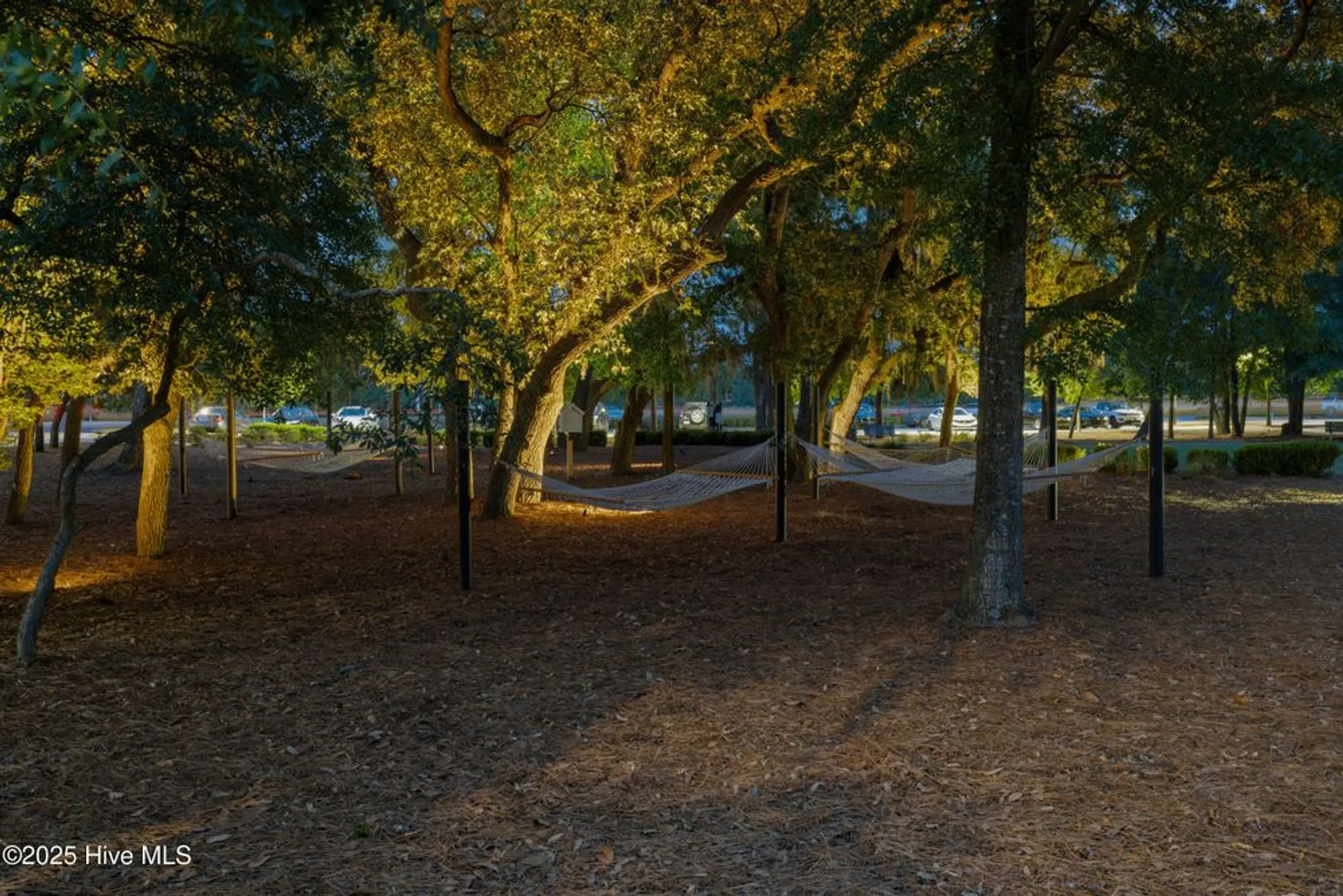 Property Slideshow image 68 of 88 | 742 wharton ave, Wilmington, NC, 28412