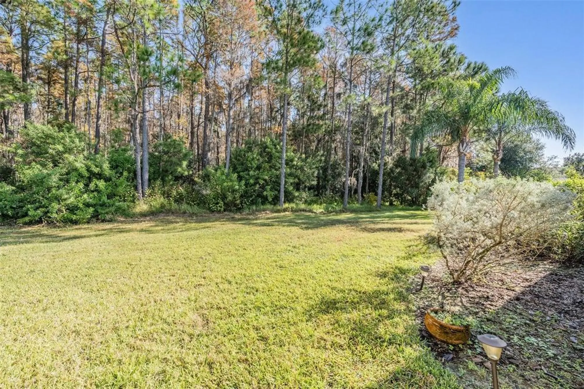 Property Slideshow image 20 of 49 | 1143 dustan pl, Trinity, FL, 34655