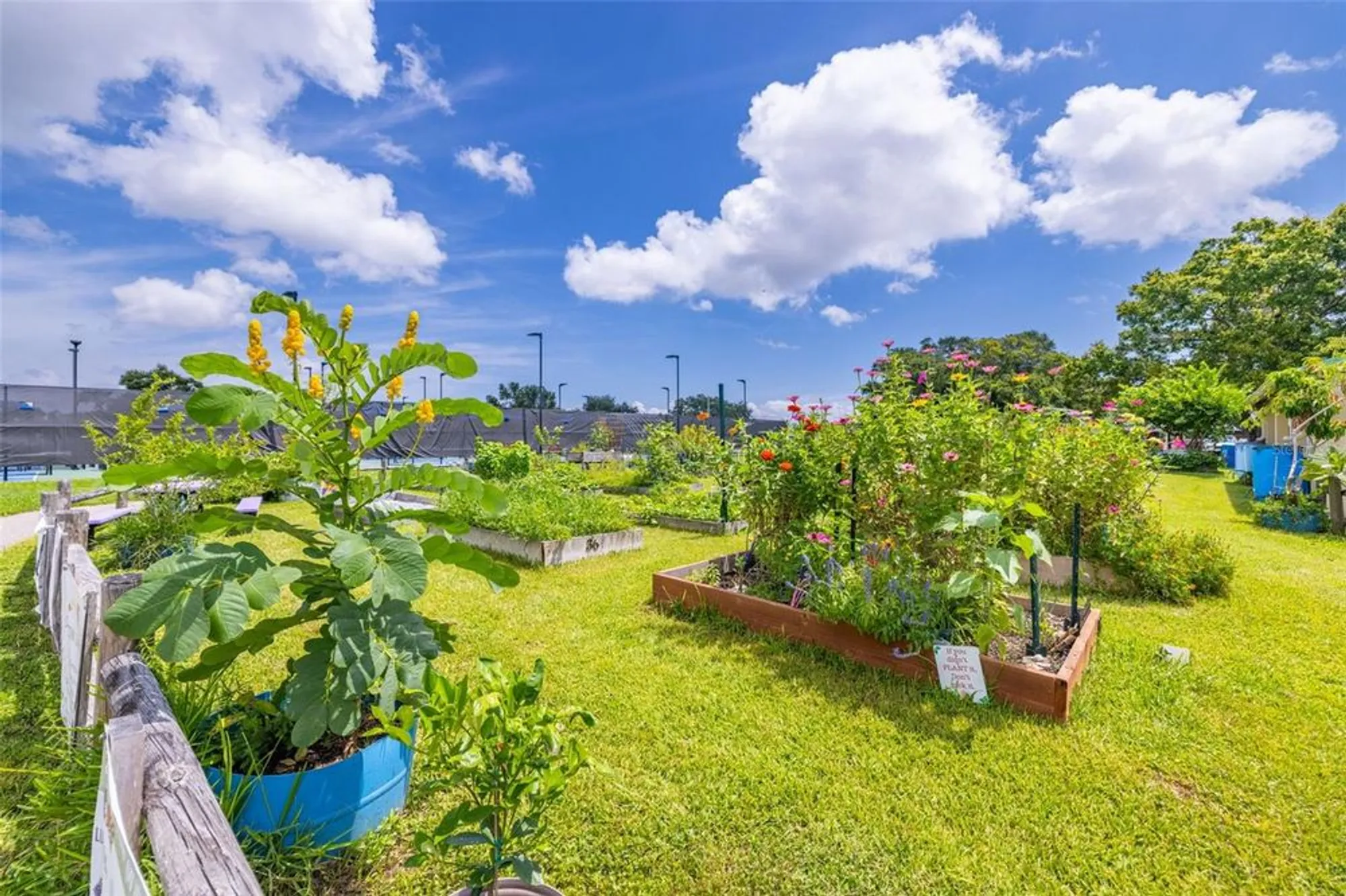 Property Slideshow image 38 of 62 | 946 virginia st apt 207, Dunedin, FL, 34698