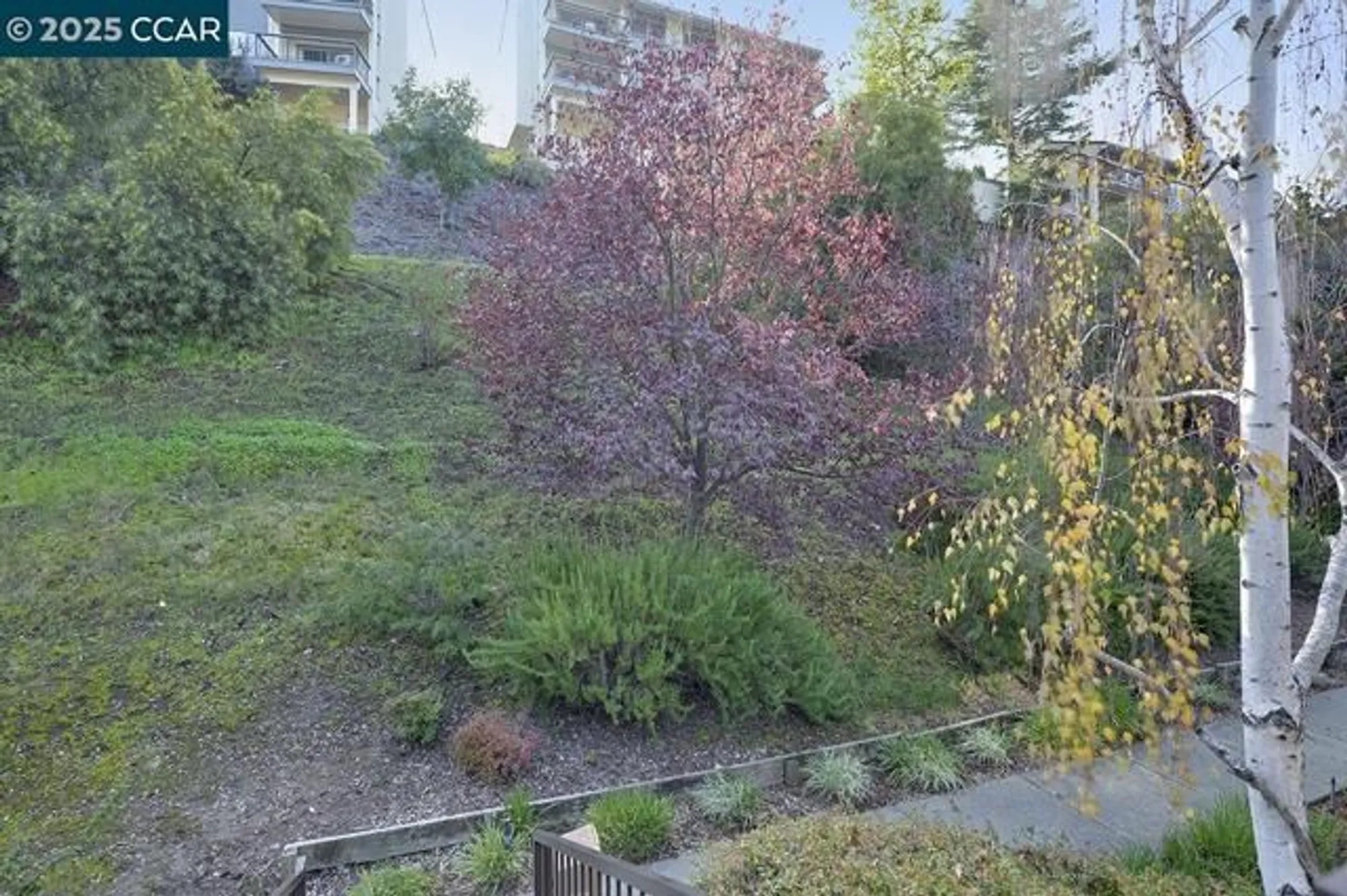 Property Slideshow image 25 of 39 | 1405 ptarmigan dr apt 1, Walnut Creek, CA, 94595