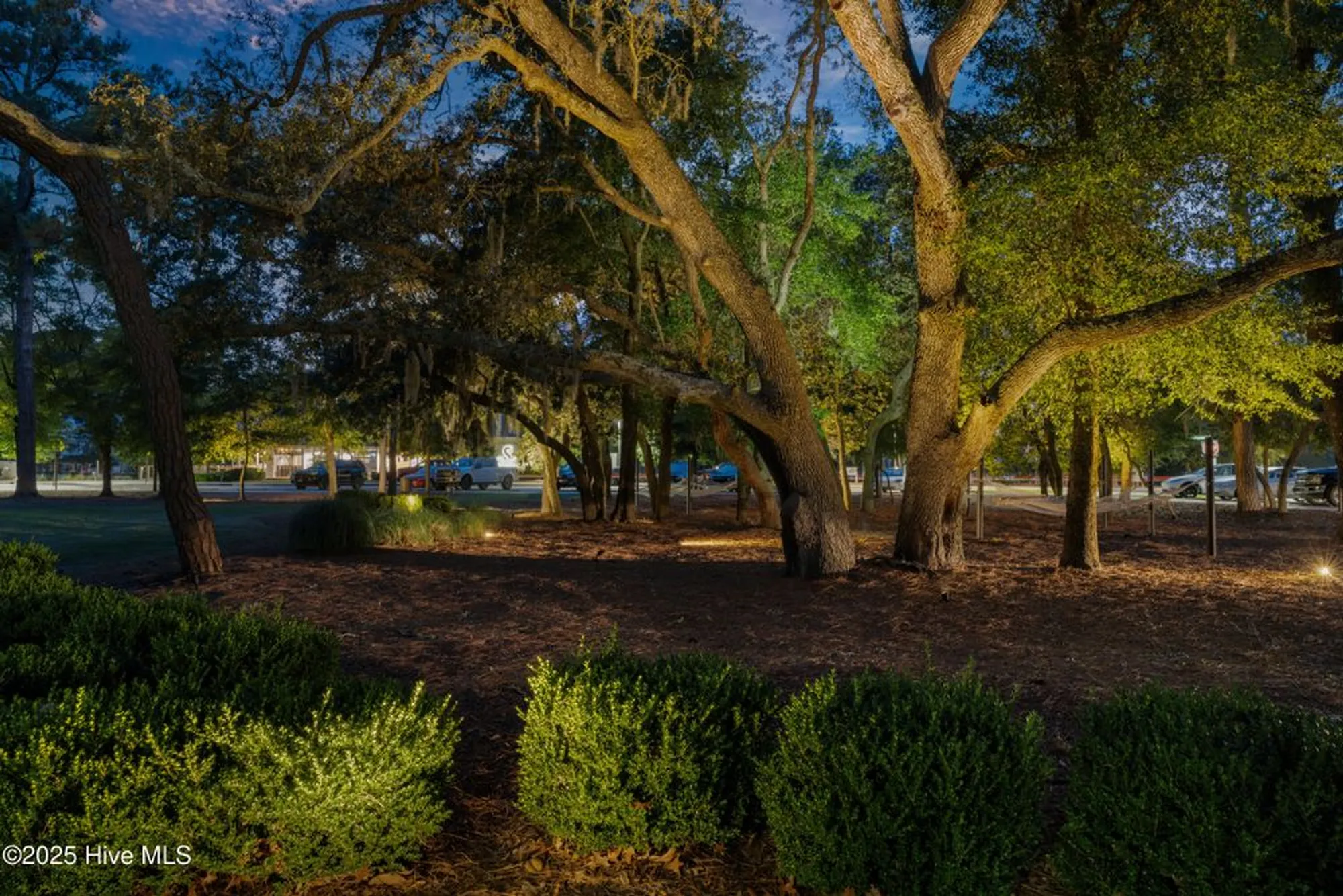 Property Slideshow image 69 of 88 | 742 wharton ave, Wilmington, NC, 28412