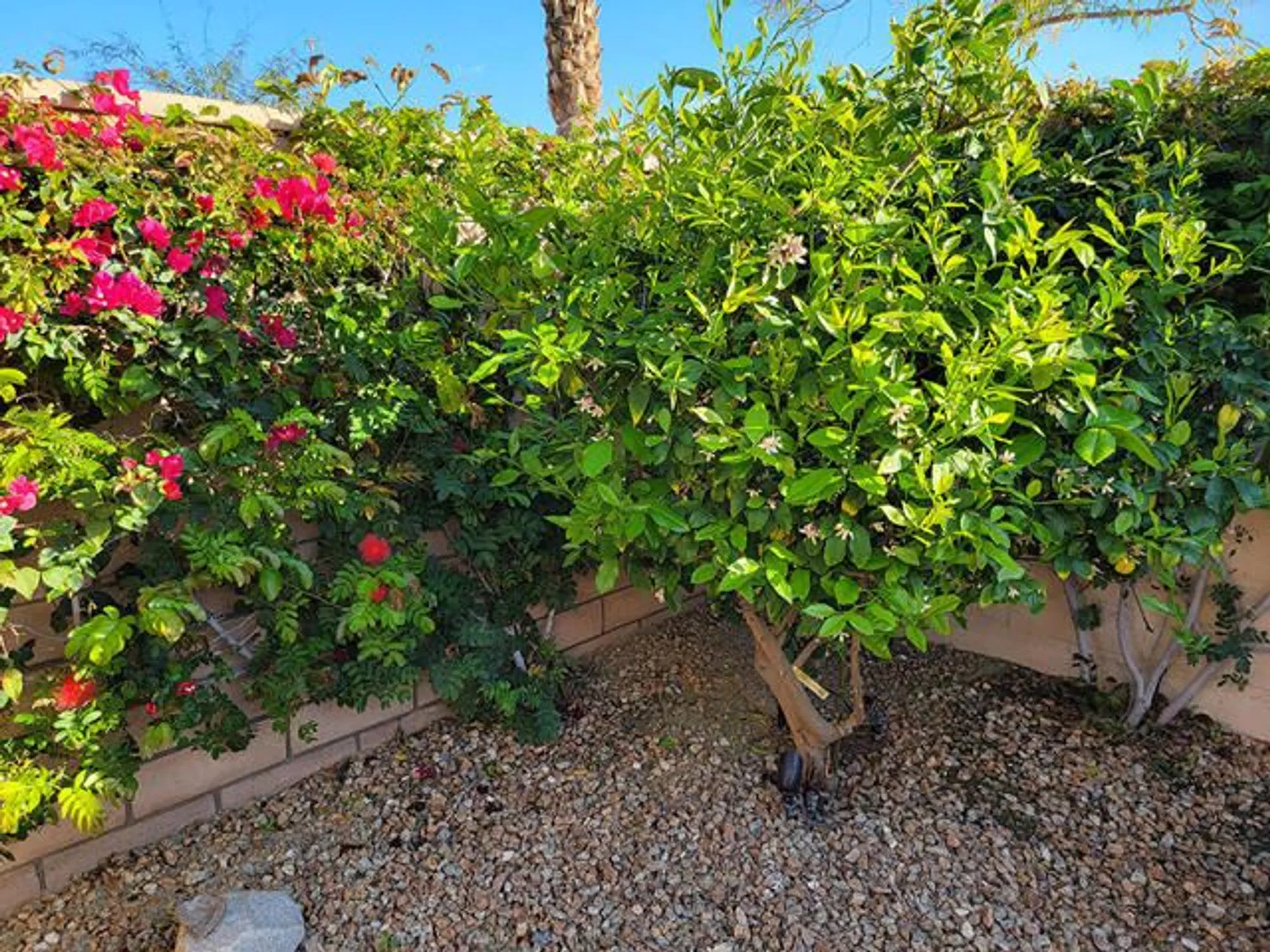 Property Slideshow image 36 of 57 | 85549 treviso dr, Indio, CA, 92203