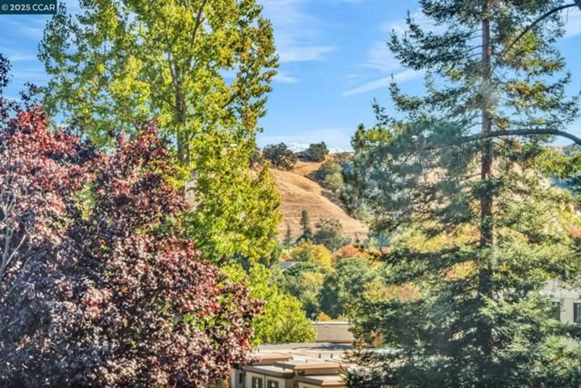 Property Slideshow image 47 of 53 | 1200 leisure ln apt 4, Walnut Creek, CA, 94595