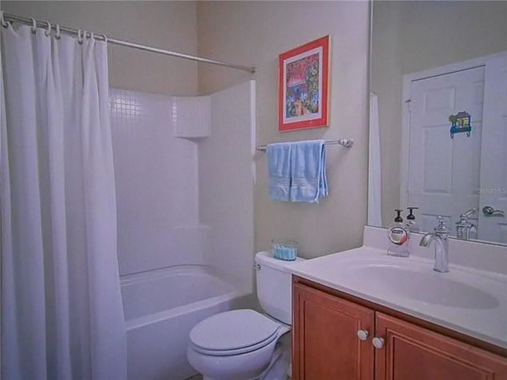 Property Slideshow image 21 of 61 | 344 mystic falls dr, Apollo Beach, FL, 33572