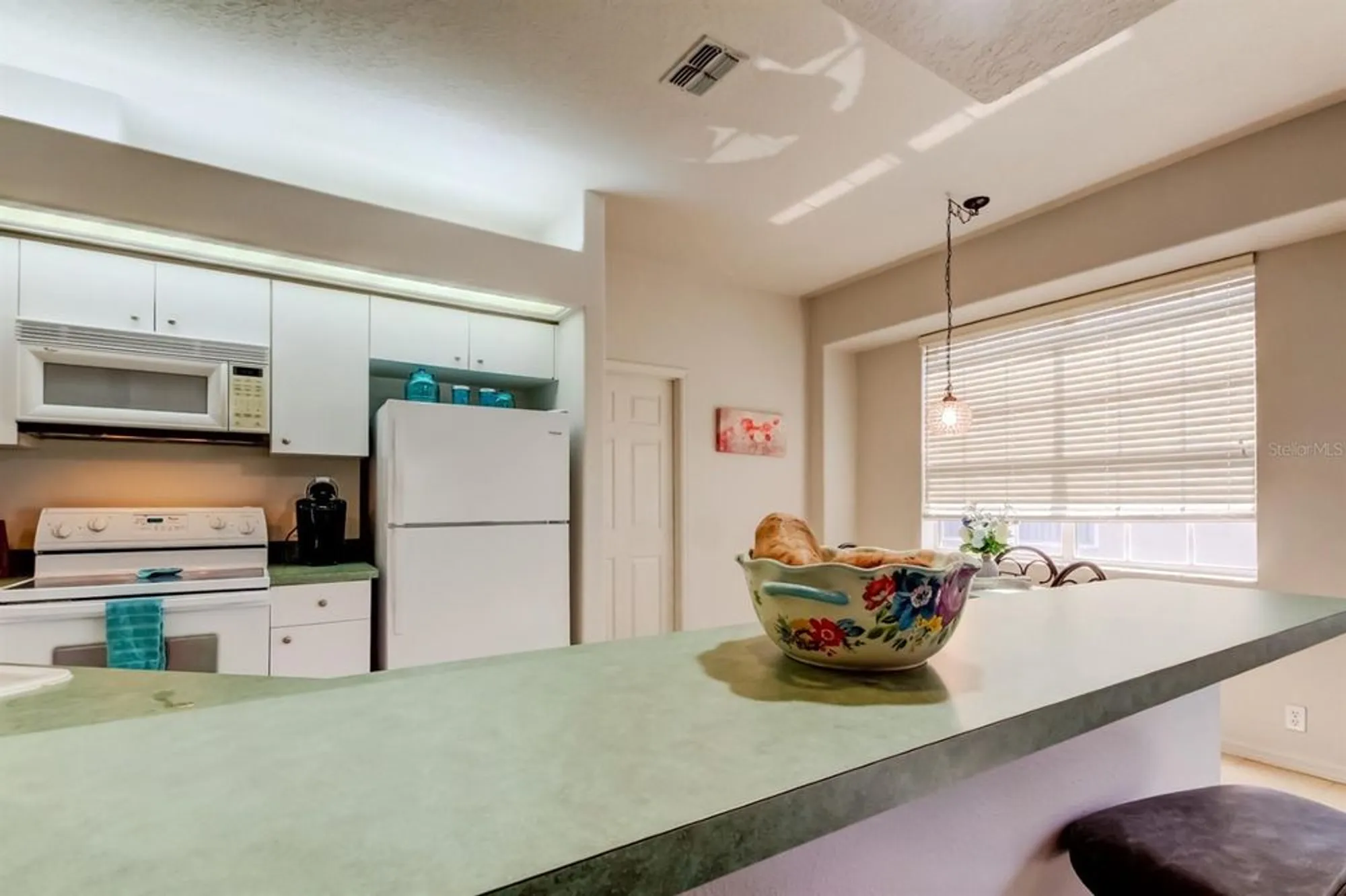 Property Slideshow image 7 of 53 | 14466 tamarind loop, Spring Hill, FL, 34609