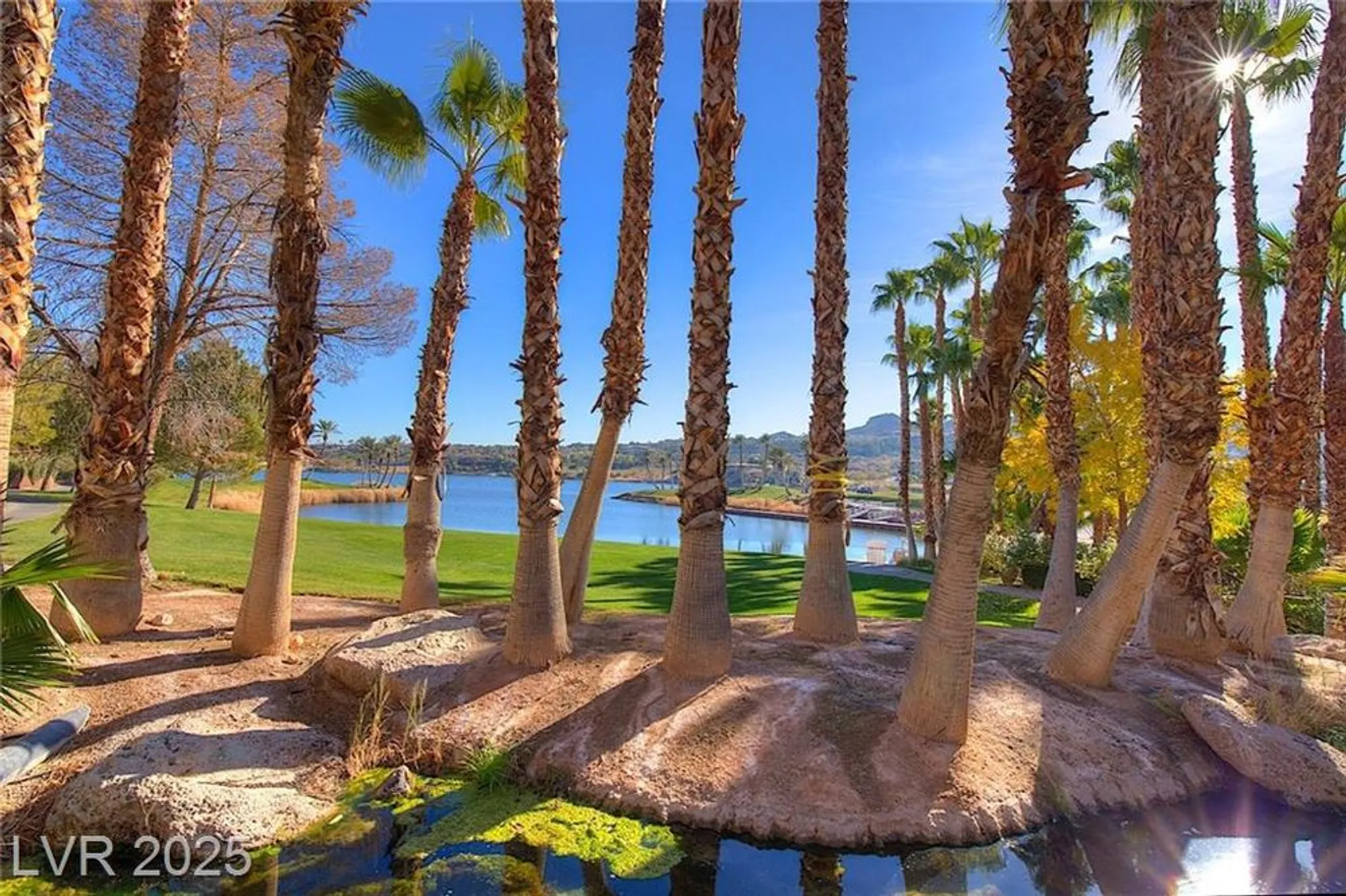 Property Slideshow image 58 of 63 | 351 tigullio ave, Henderson, NV, 89011