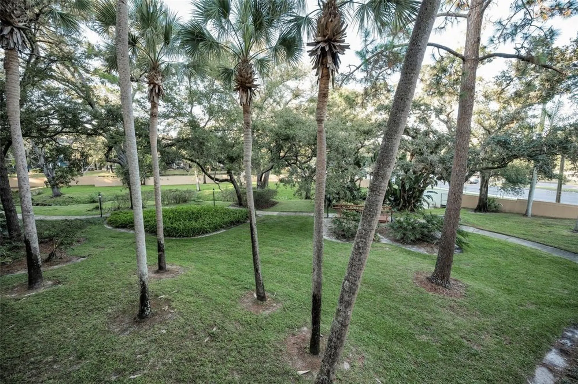 Property Slideshow image 23 of 85 | 3062 eastland blvd 105, Clearwater, FL, 33761