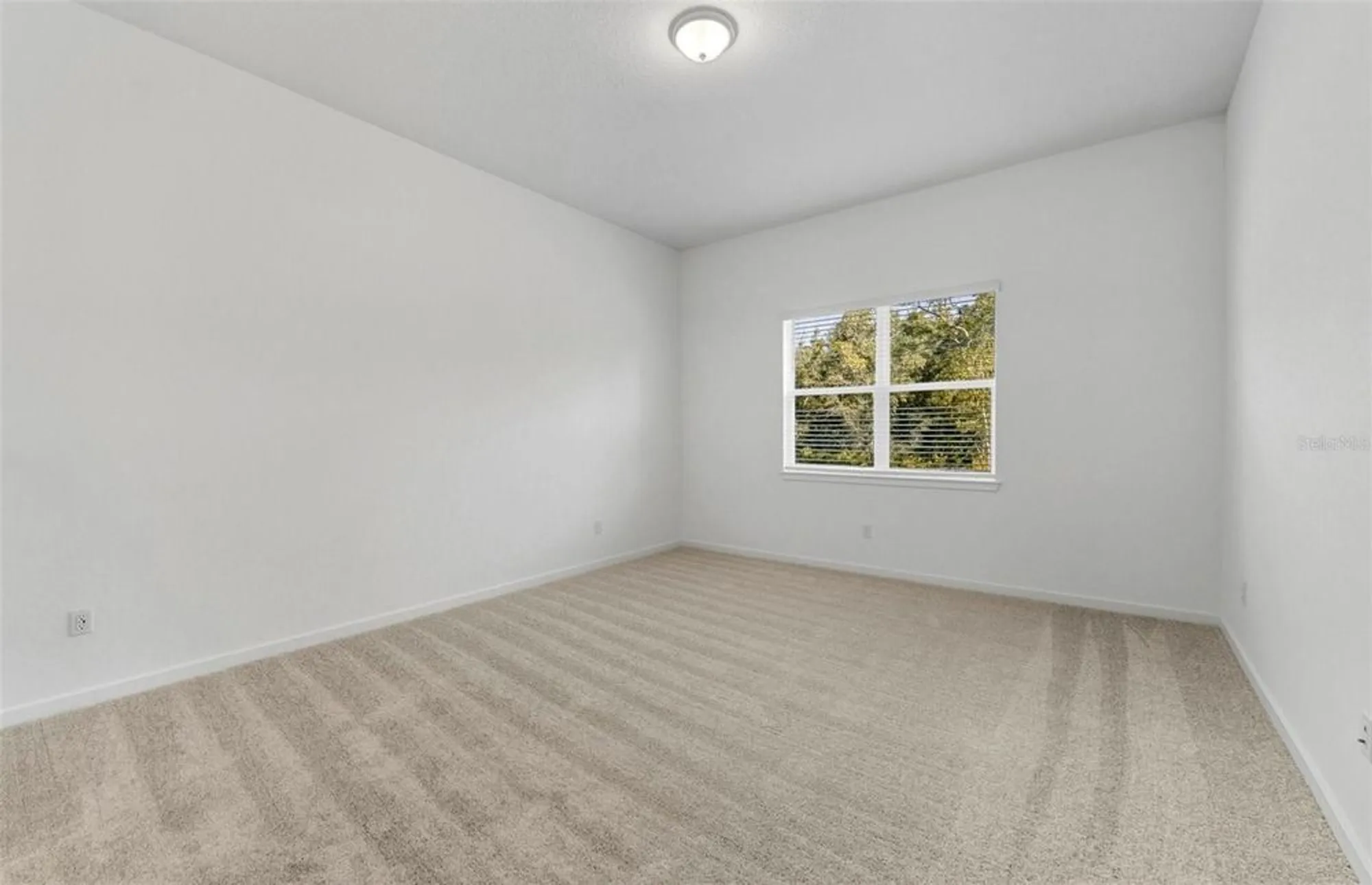 Property Slideshow image 9 of 29 | 13660 canyon ridge rd, Spring Hill, FL, 34610