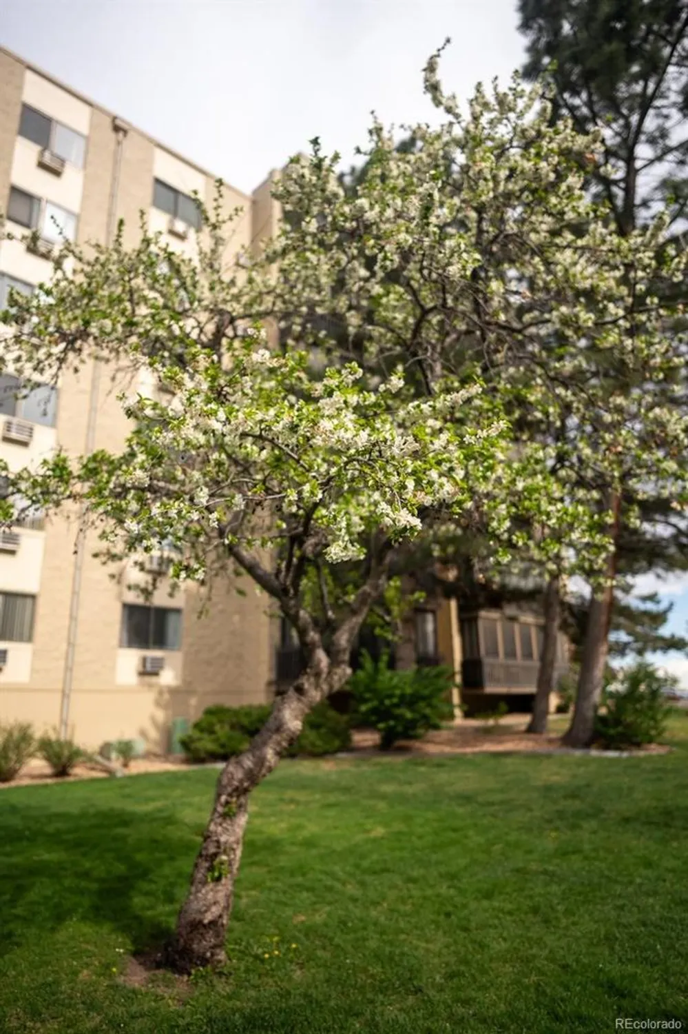 Property Slideshow image 28 of 31 | 14091 e marina dr apt 612, Aurora, CO, 80014