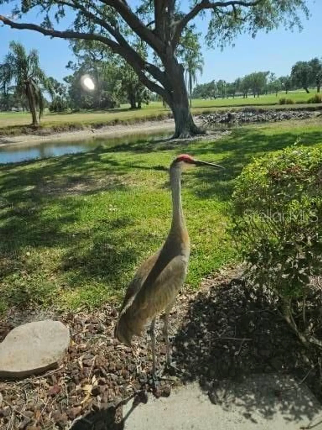 Property Slideshow image 58 of 95 | 7320 golf pointe cir, Sarasota, FL, 34243
