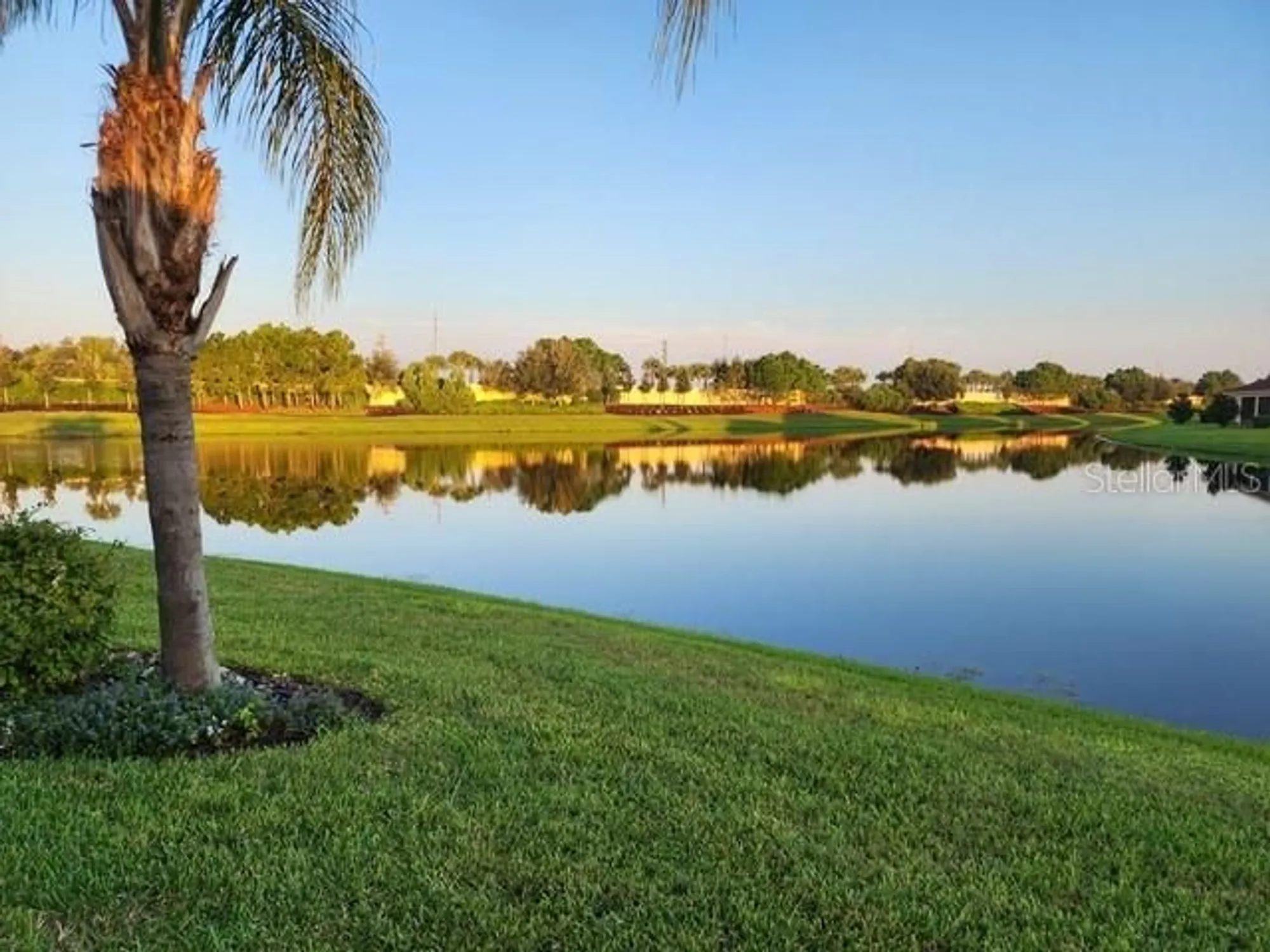Property Slideshow image 41 of 87 | 4938 grand banks dr, Wimauma, FL, 33598