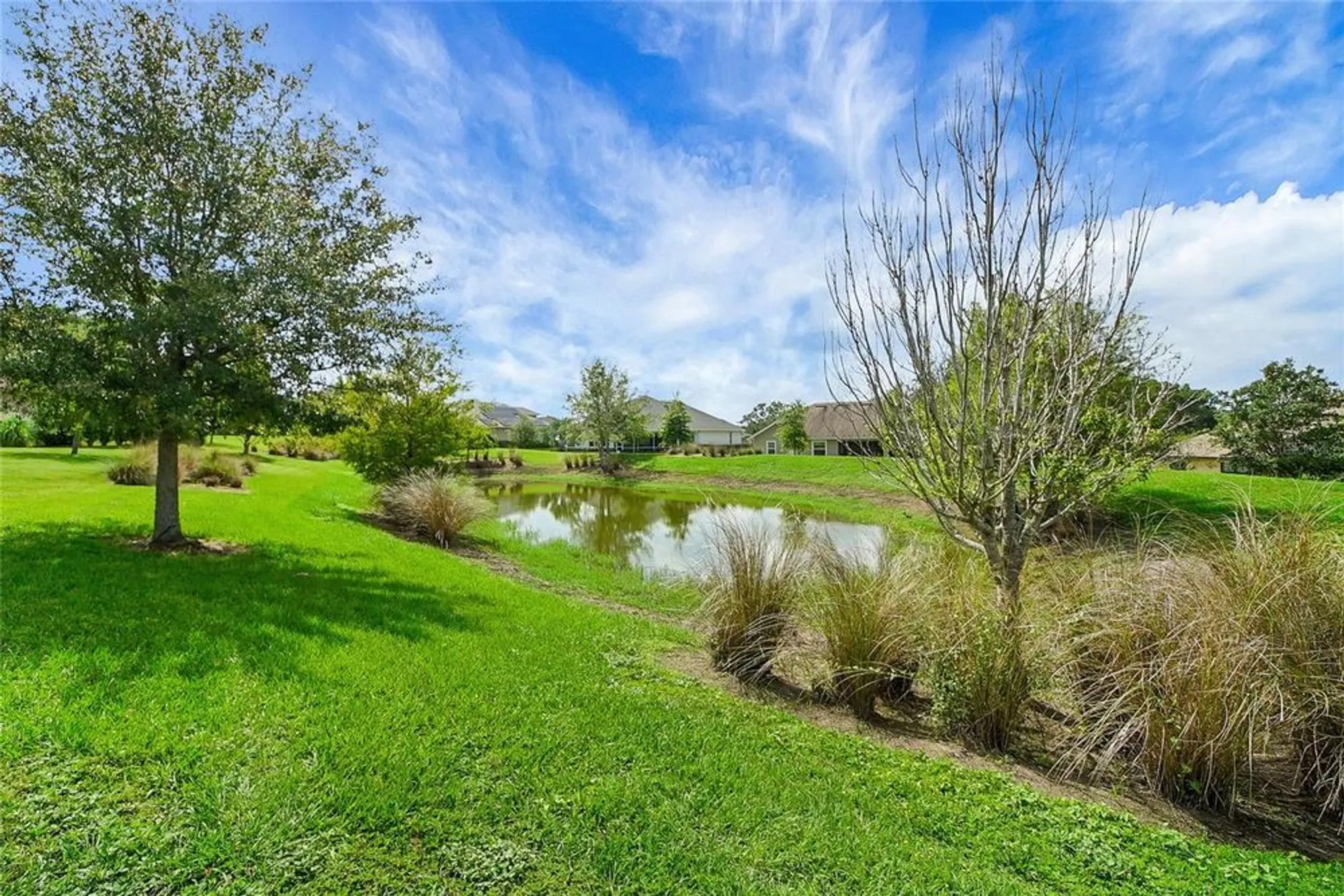 Property Slideshow image 52 of 88 | 6008 apex way, Lady Lake, FL, 32159
