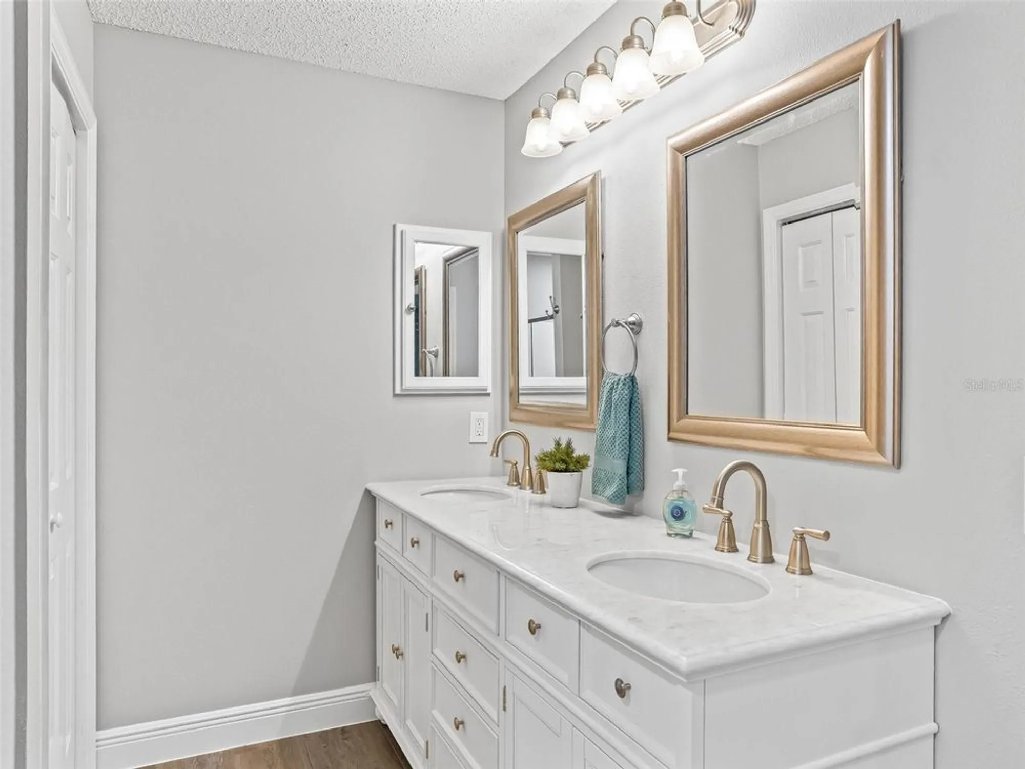 Property Slideshow image 21 of 32 | 9653 se 171st argyll st, The Villages, FL, 32162