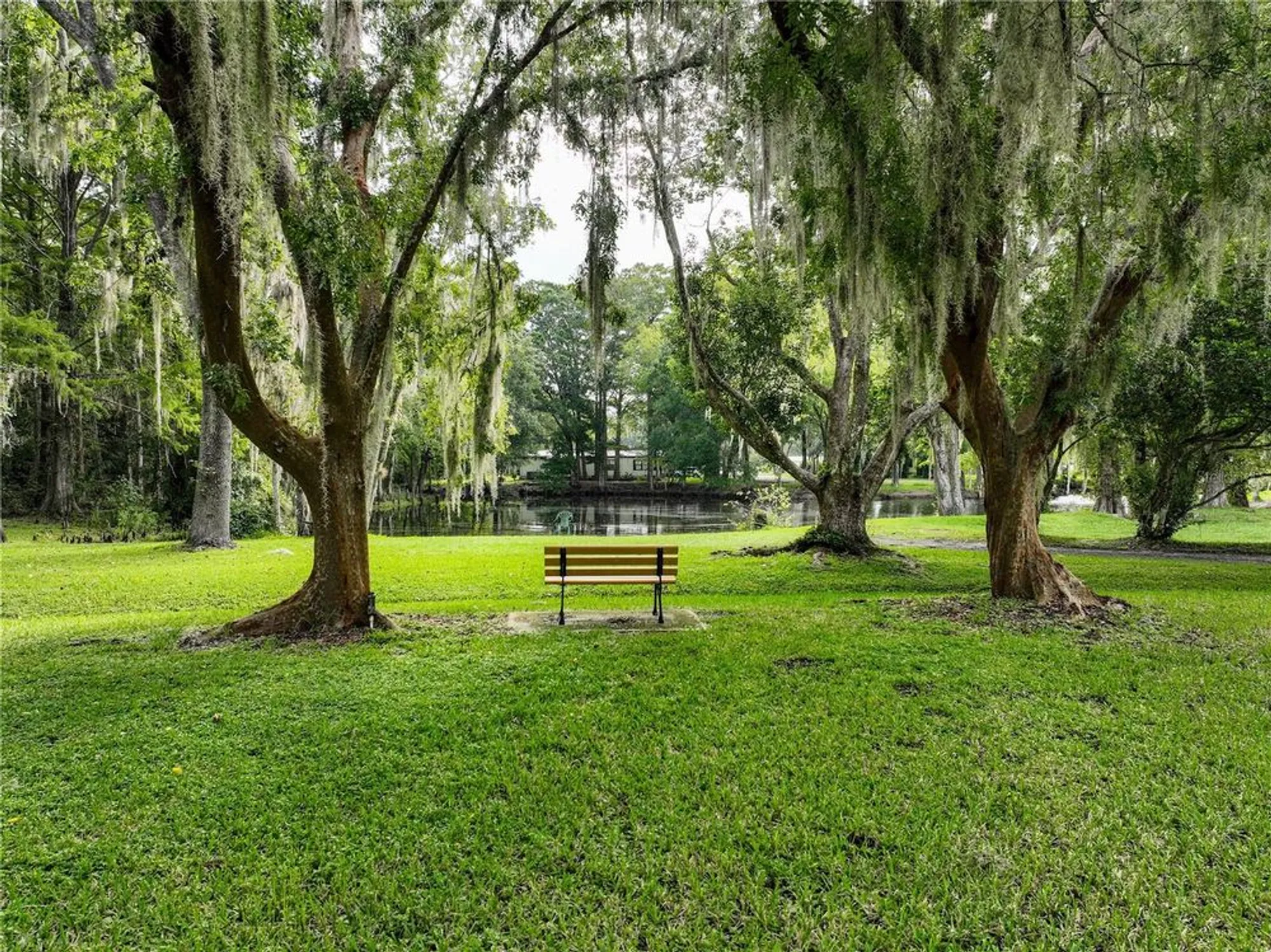 Property Slideshow image 39 of 52 | 111 sugar maple ave, Wildwood, FL, 34785