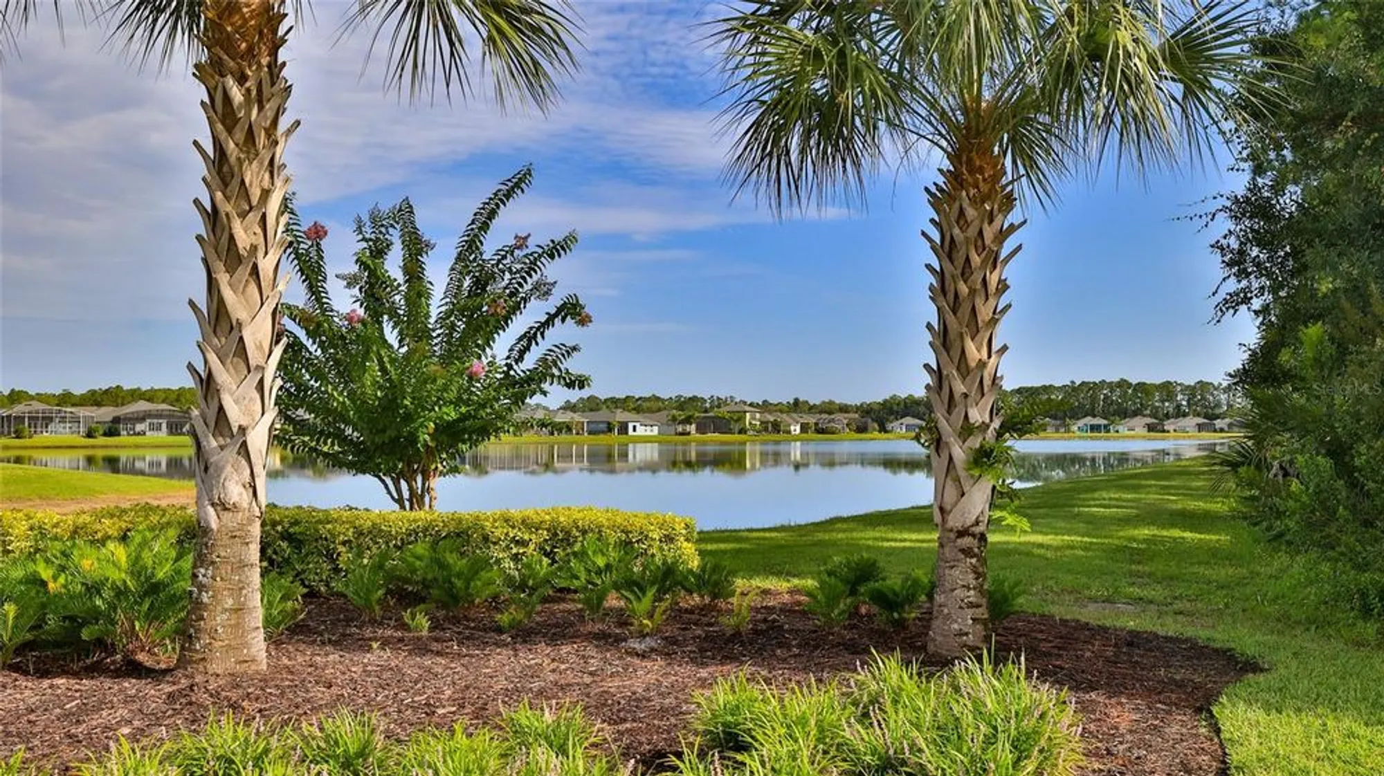 Property Slideshow image 40 of 40 | 349 caryota ct, New Smyrna Beach, FL, 32168
