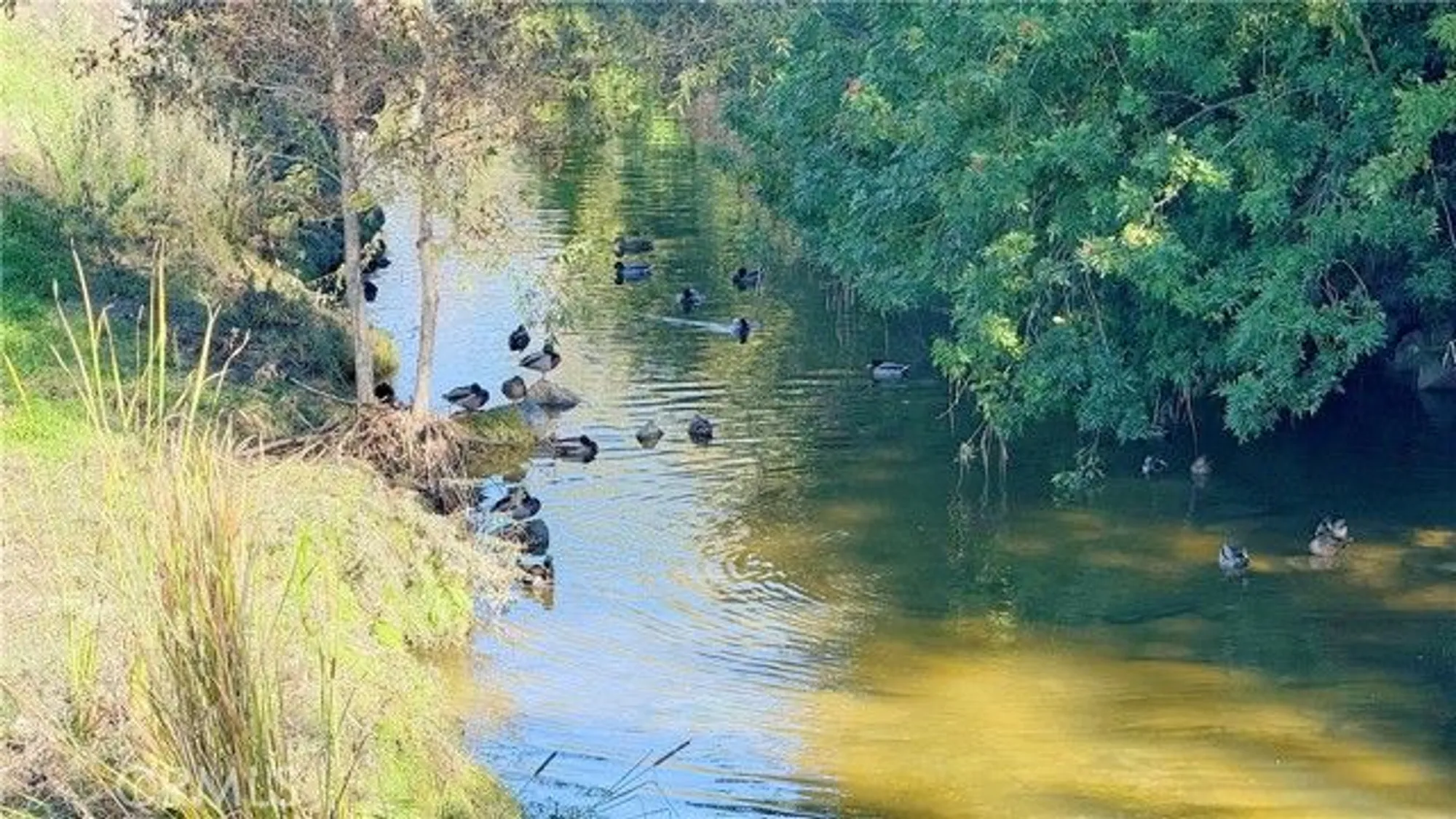 Property Slideshow image 20 of 58 | 898 ronda sevilla n, Laguna Woods, CA, 92637