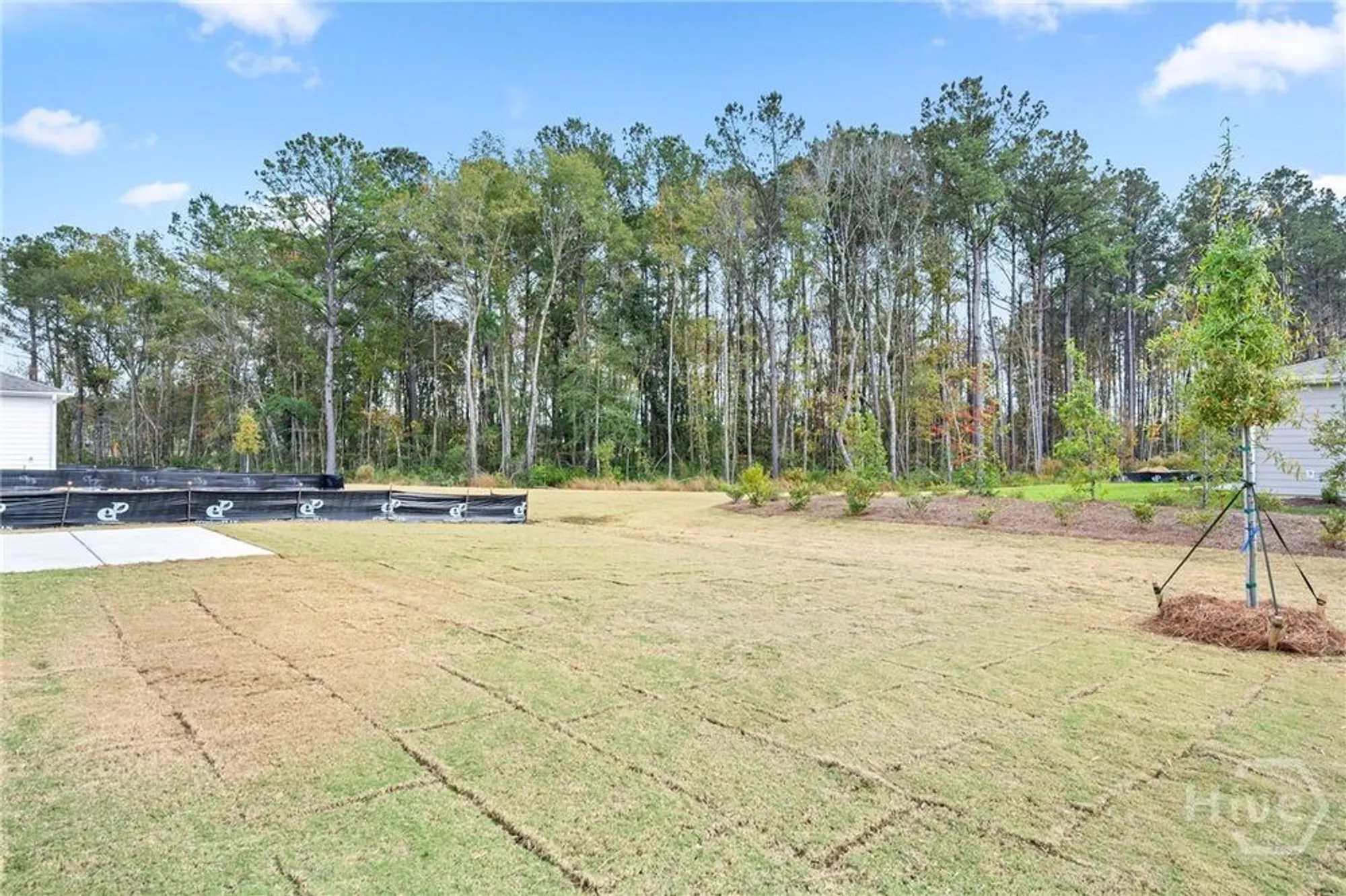 Property Slideshow image 35 of 59 | 273 birch dr, Richmond Hill, GA, 31324