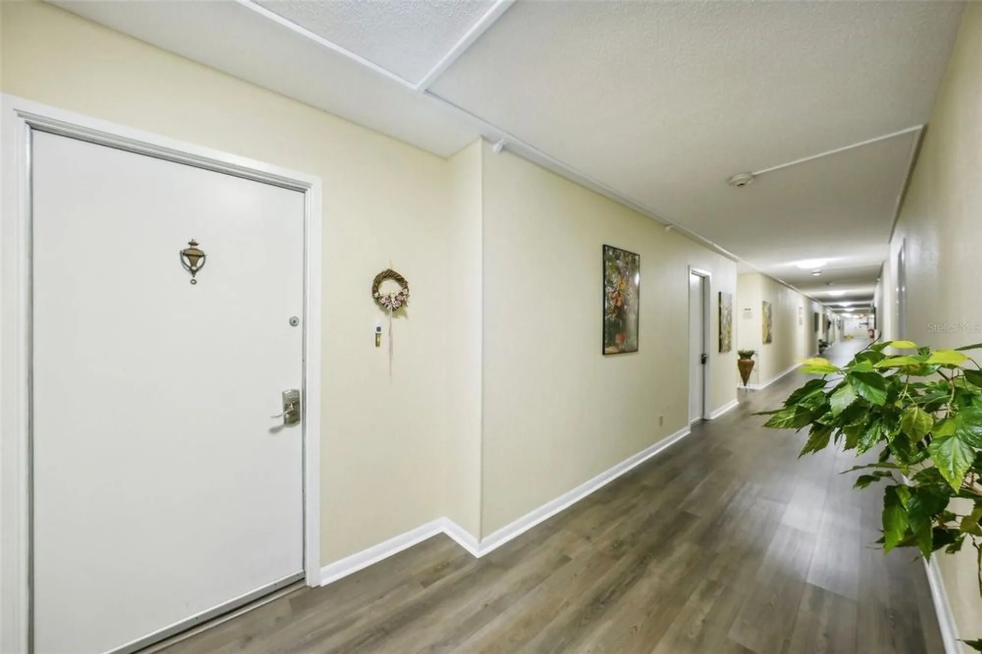 Property Slideshow image 5 of 66 | 7400 sun island dr 802, South Pasadena, FL, 33707