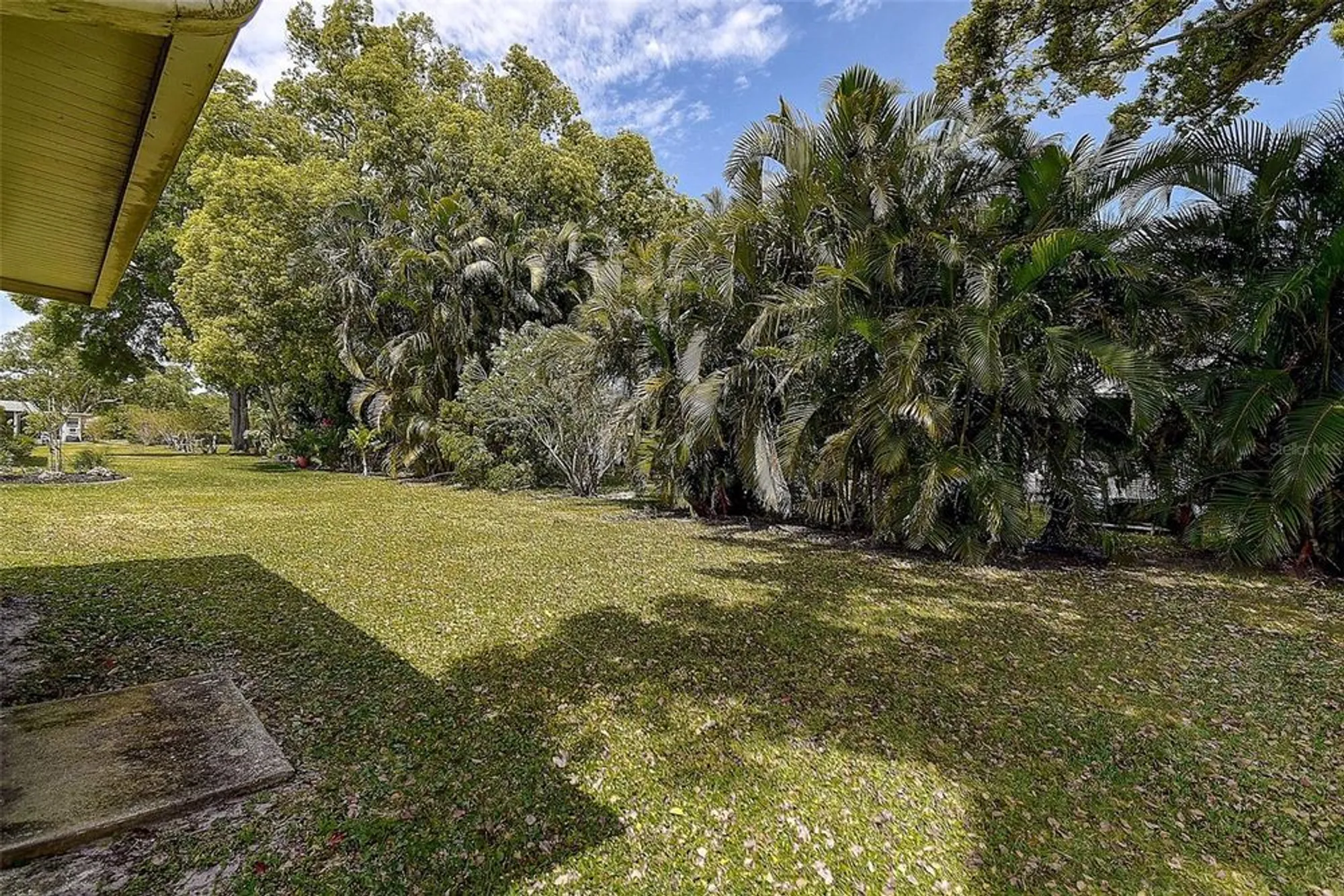 Property Slideshow image 26 of 36 | 2955 briar cliff dr, Palm Harbor, FL, 34684