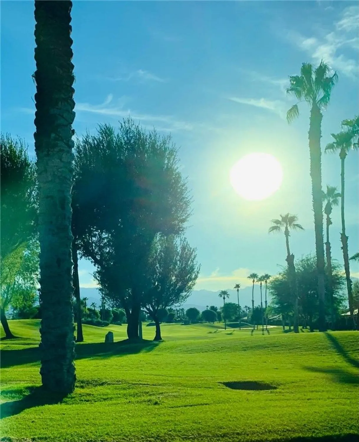 Property Slideshow image 17 of 20 | 43679 old troon ct, Indio, CA, 92201