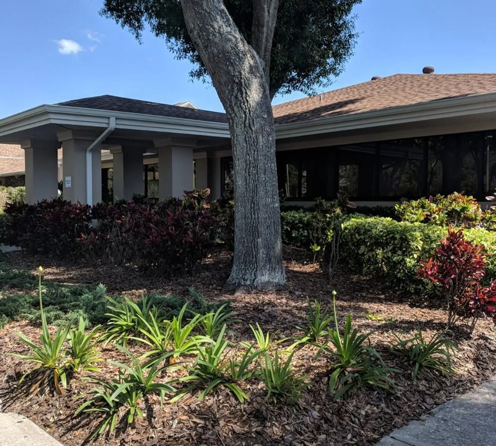 Property Slideshow image 34 of 41 | 2770 keats ter c, Palm Harbor, FL, 34684