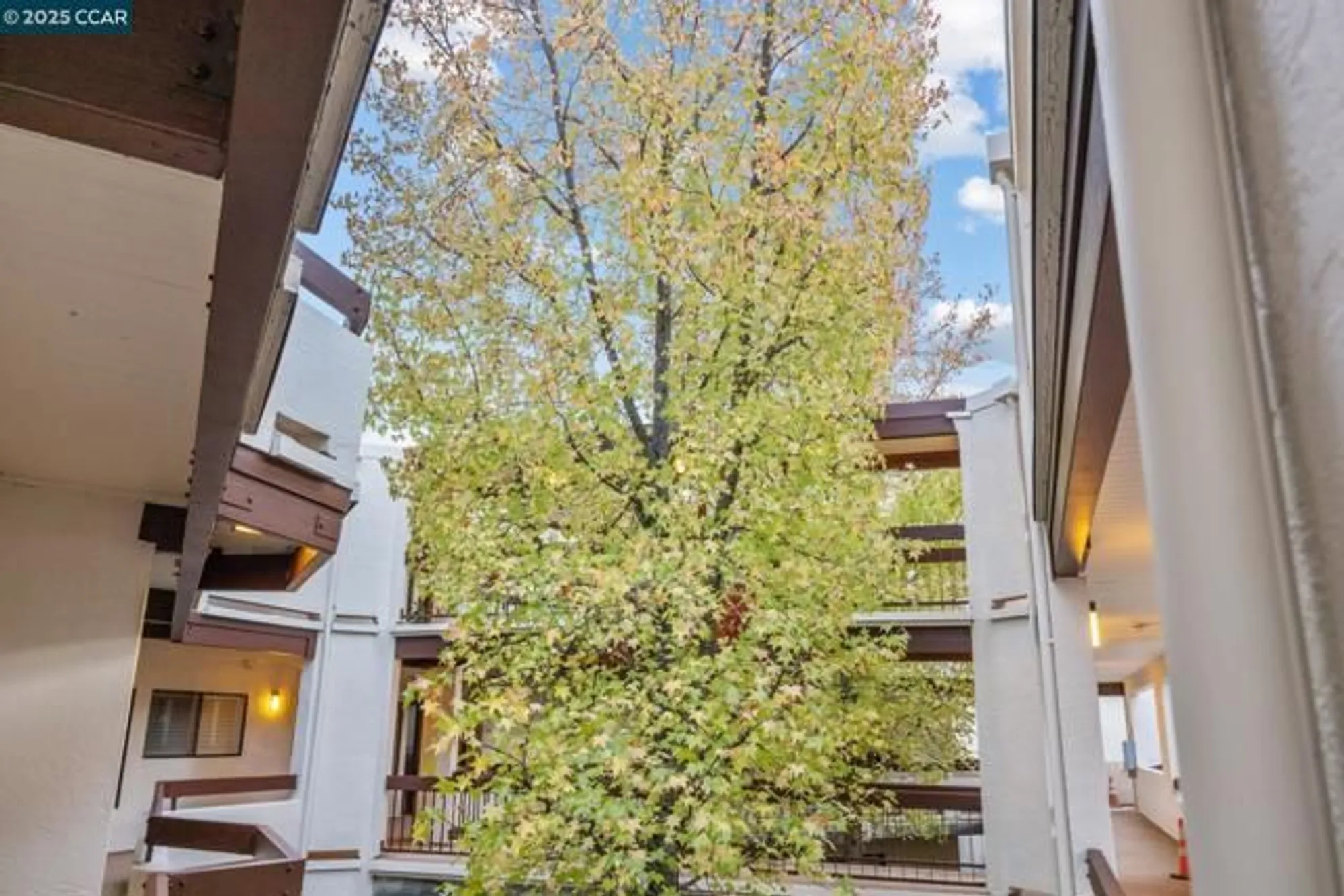 Property Slideshow image 42 of 57 | 3535 terra granada dr 1b, Walnut Creek, CA, 94595