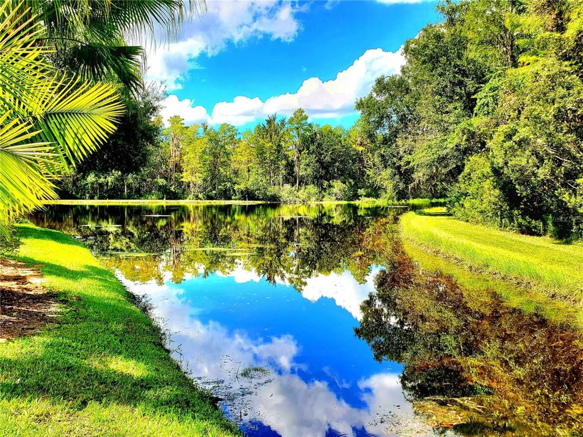 Property Slideshow image 50 of 50 | 1517 morning rose pl, Trinity, FL, 34655