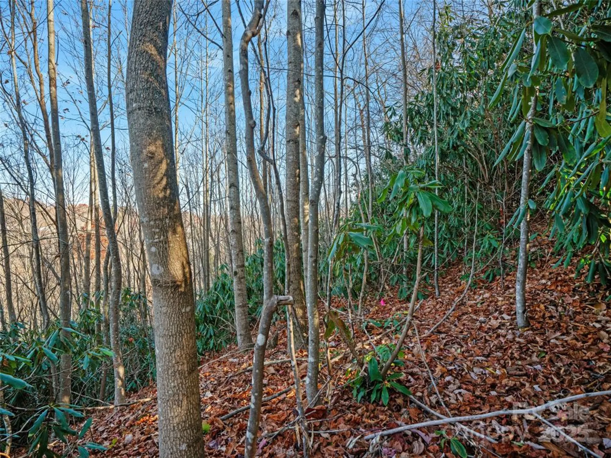 Property Slideshow image 17 of 36 | 99999 bay laurel ln, Hendersonville, NC, 28791