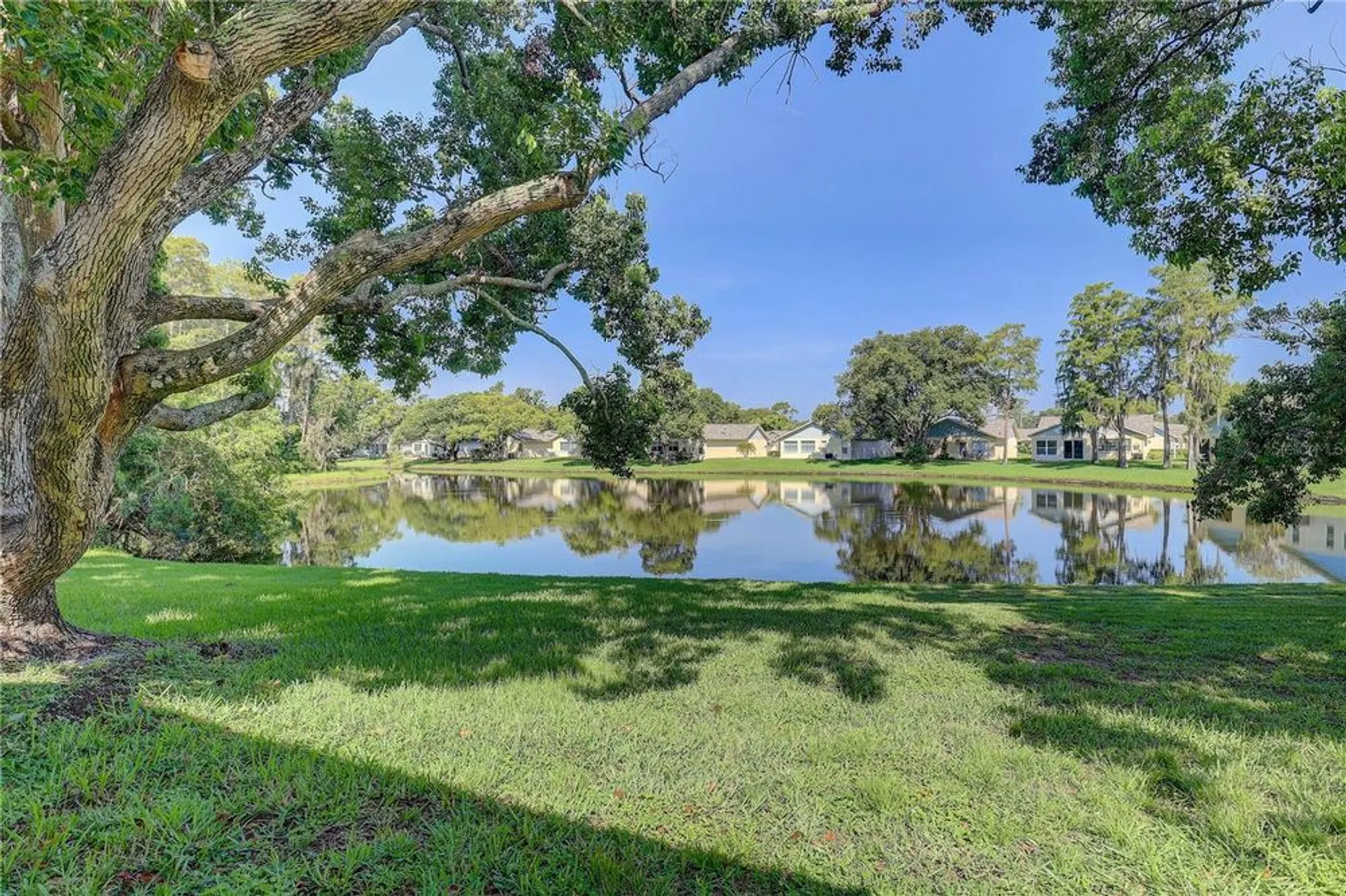 Property Slideshow image 39 of 55 | 9643 noble ct, New Port Richey, FL, 34655