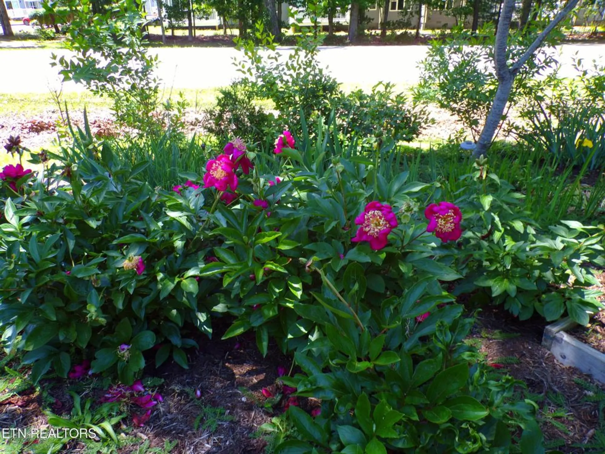 Property Slideshow image 36 of 40 | 116 huntington dr, Crossville, TN, 38558