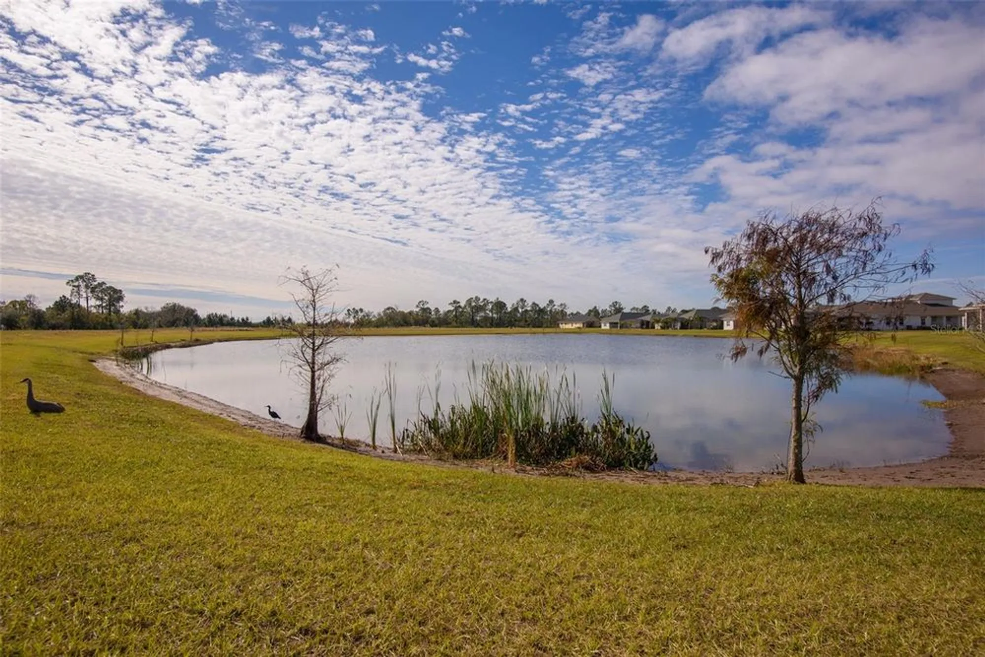 Property Slideshow image 6 of 39 | 2709 greenlands st, Saint Cloud, FL, 34772