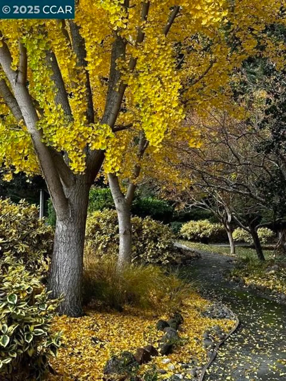 Property Slideshow image 46 of 54 | 3434 tice creek dr 5, Walnut Creek, CA, 94595