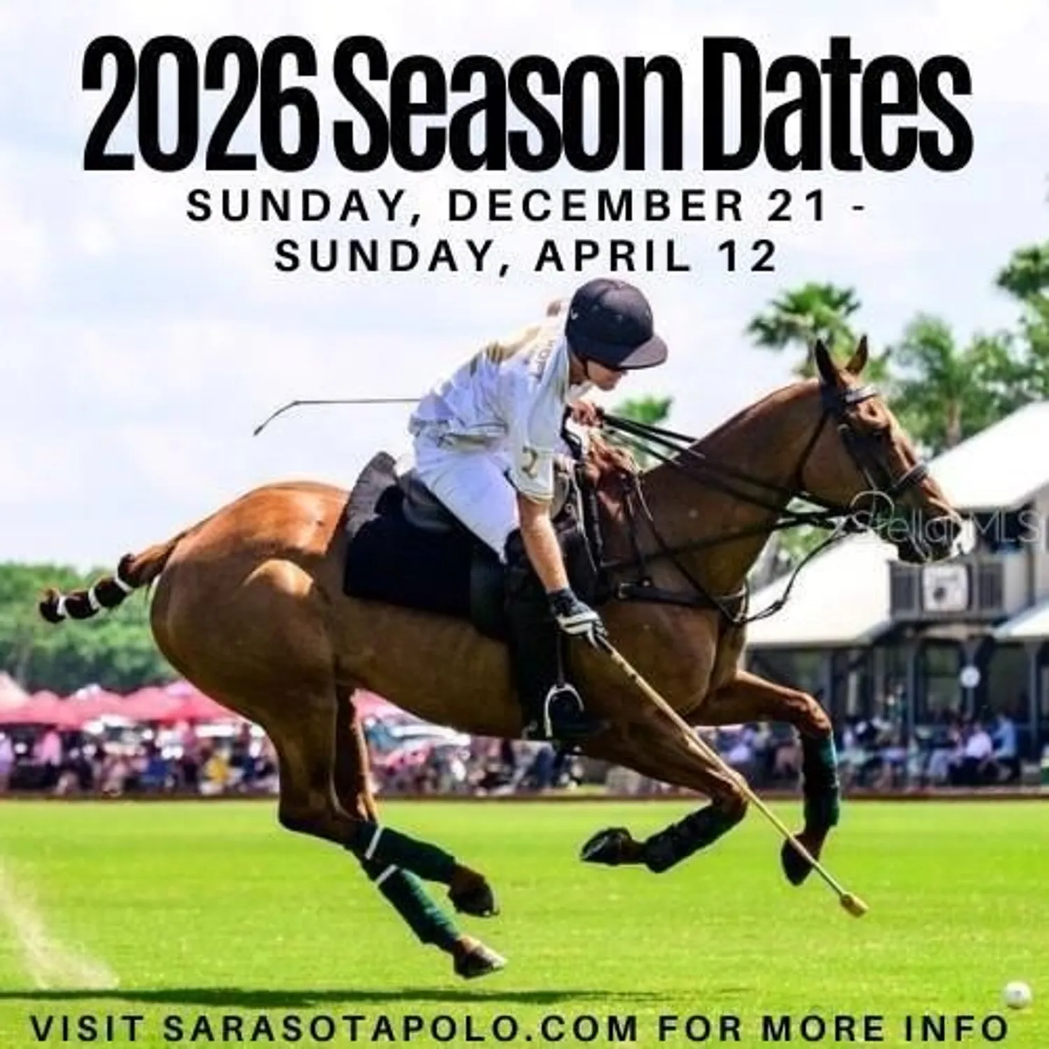 Property Slideshow image 40 of 44 | 4247 oakhurst cir 3033, Sarasota, FL, 34233