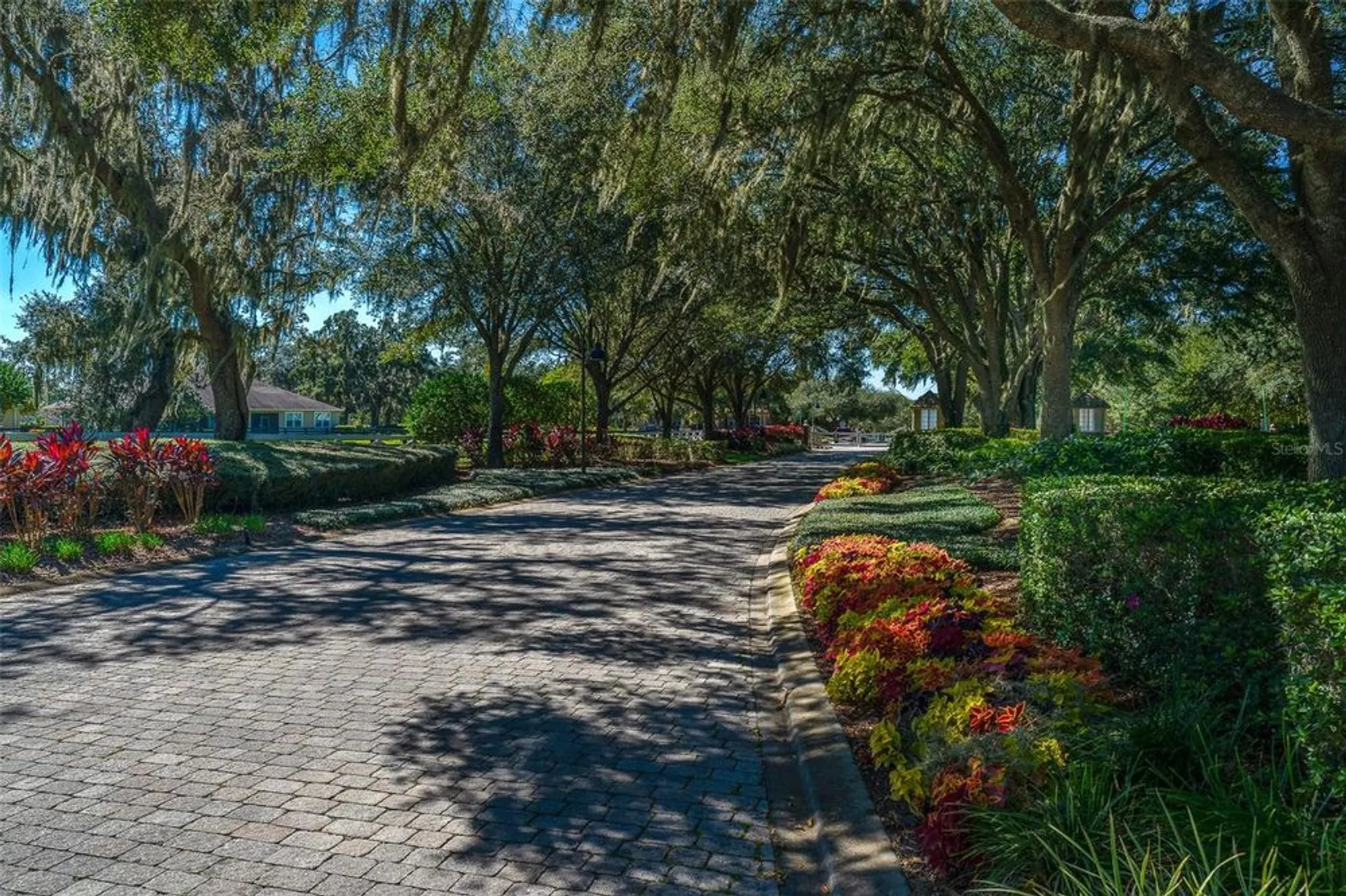 Property Slideshow image 38 of 45 | 30304 cheval st, Mount Dora, FL, 32757