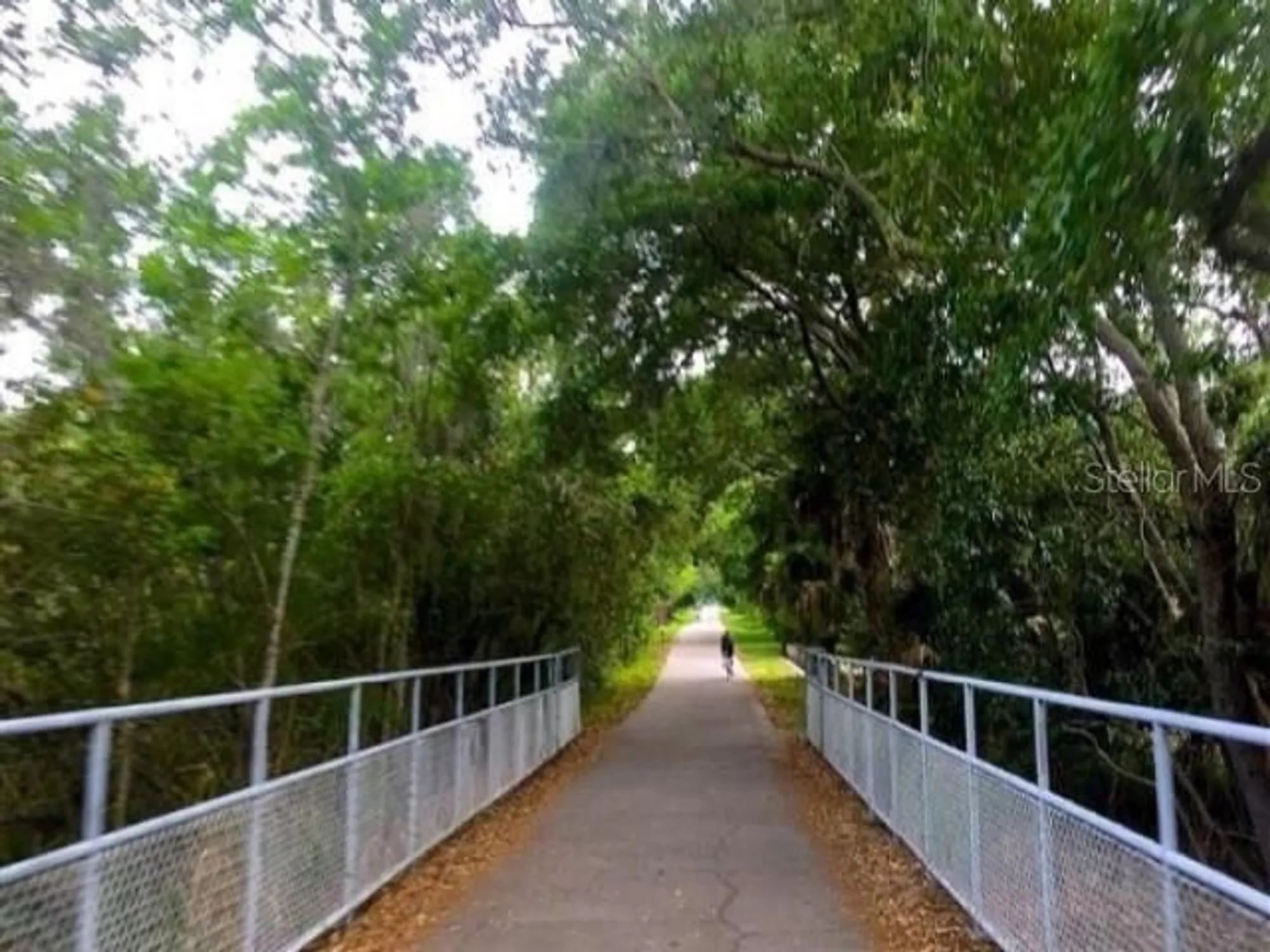 Property Slideshow image 57 of 84 | 1701 pinehurst rd apt 24b, Dunedin, FL, 34698