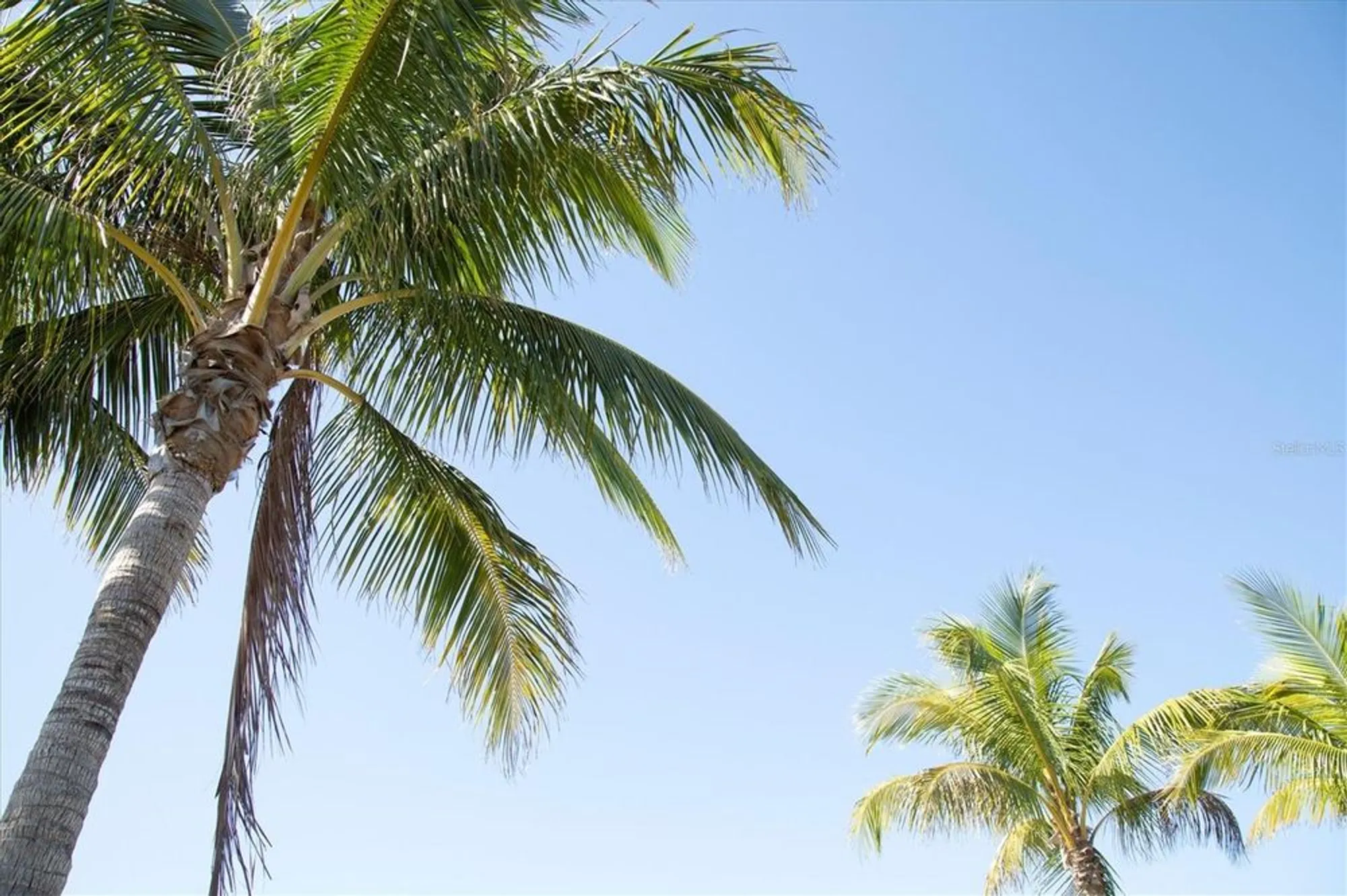 Property Slideshow image 55 of 61 | 396 aruba cir unit 302, Bradenton, FL, 34209