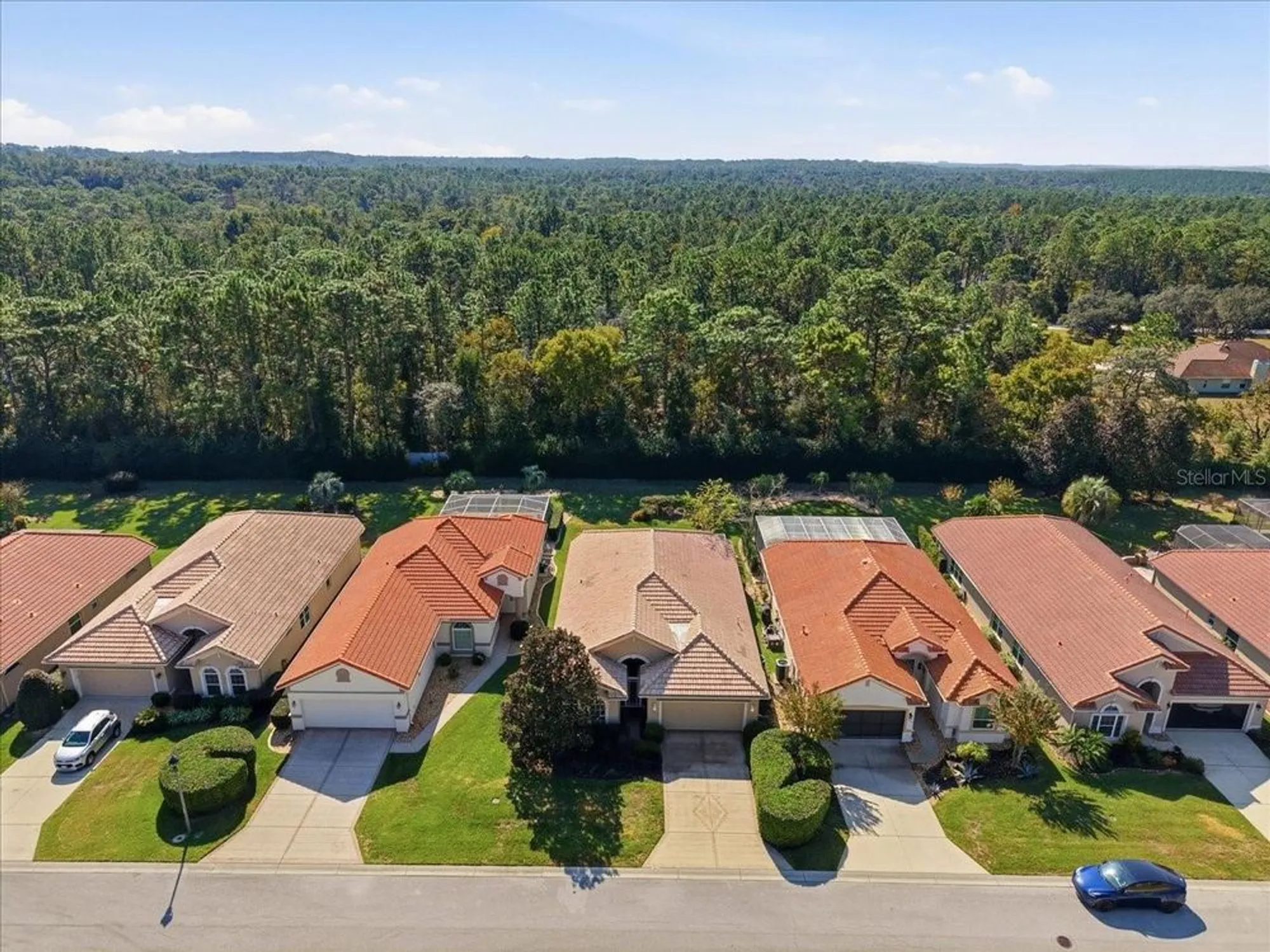 Property Slideshow image 46 of 55 | 1650 w laurel glen path, Hernando, FL, 34442