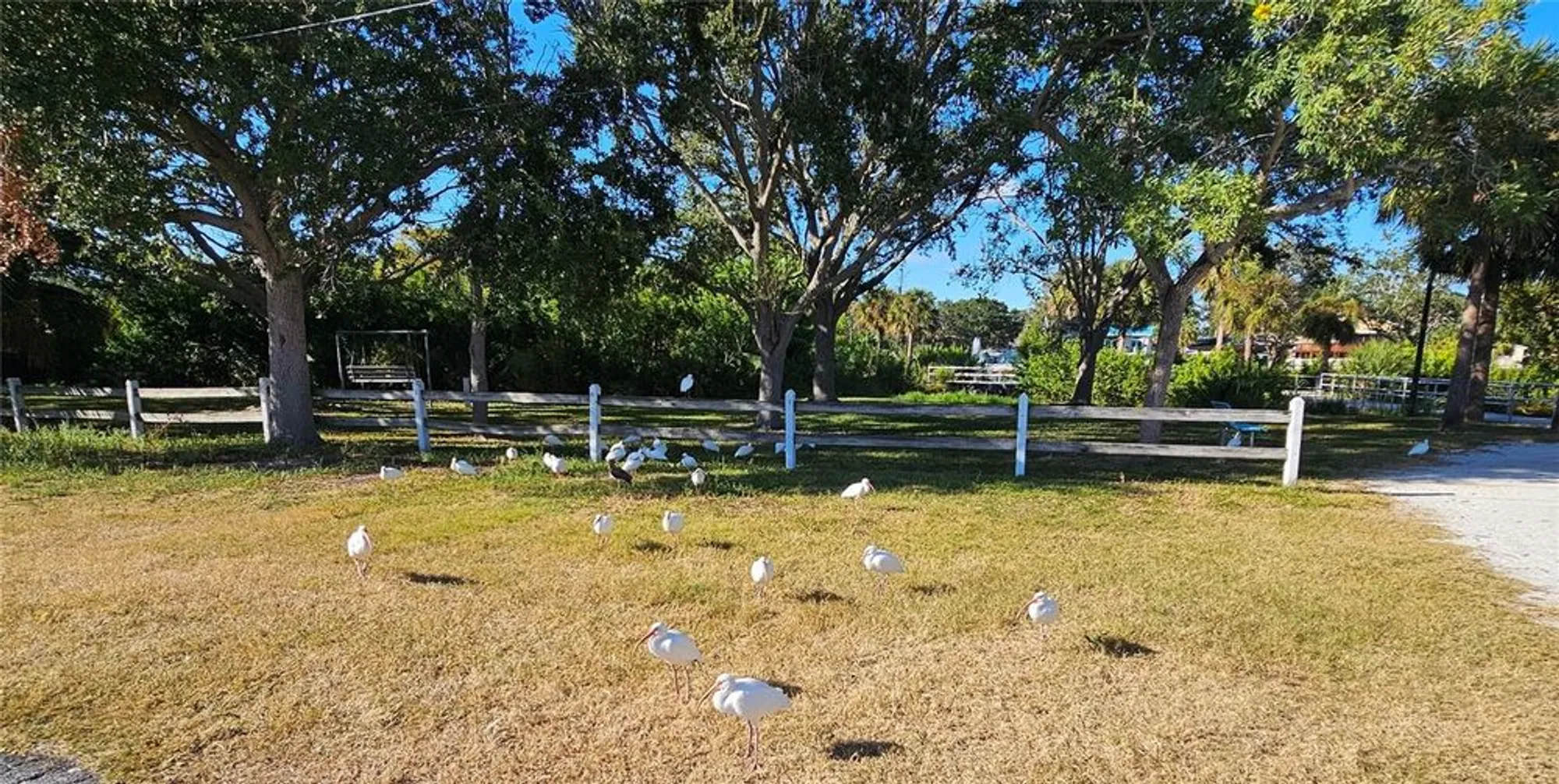 Property Slideshow image 40 of 43 | 2960 59th st 202, Gulfport, FL, 33707