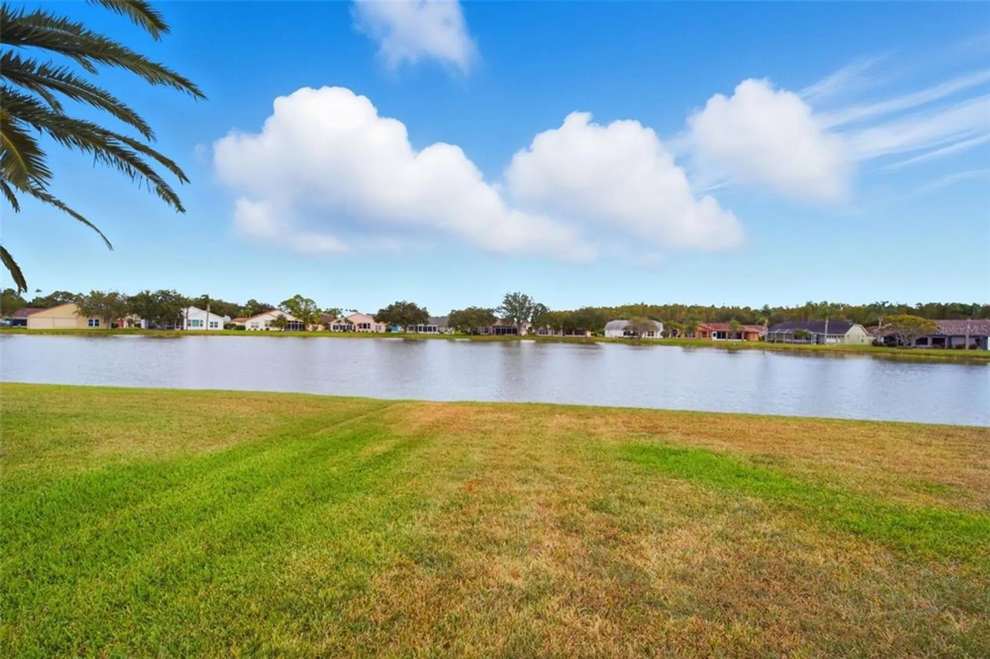 Property Slideshow image 40 of 59 | 1228 ashbourne cir, Trinity, FL, 34655