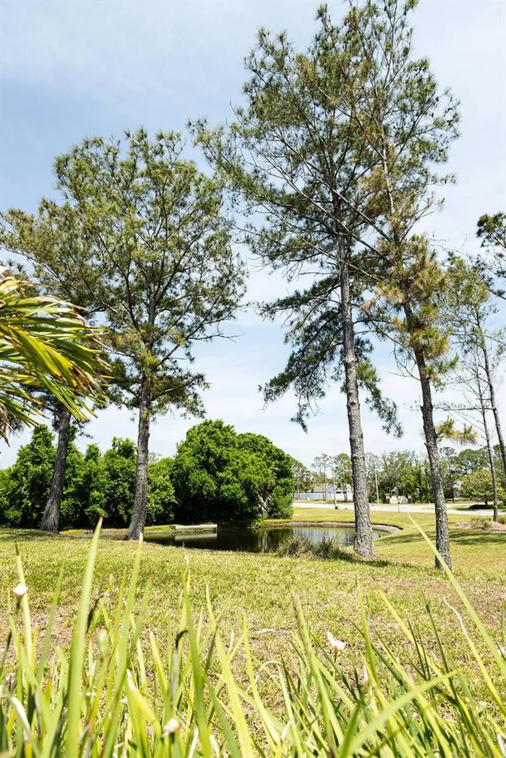 Property Slideshow image 23 of 37 | 2542 sandy hill ct, Holiday, FL, 34691