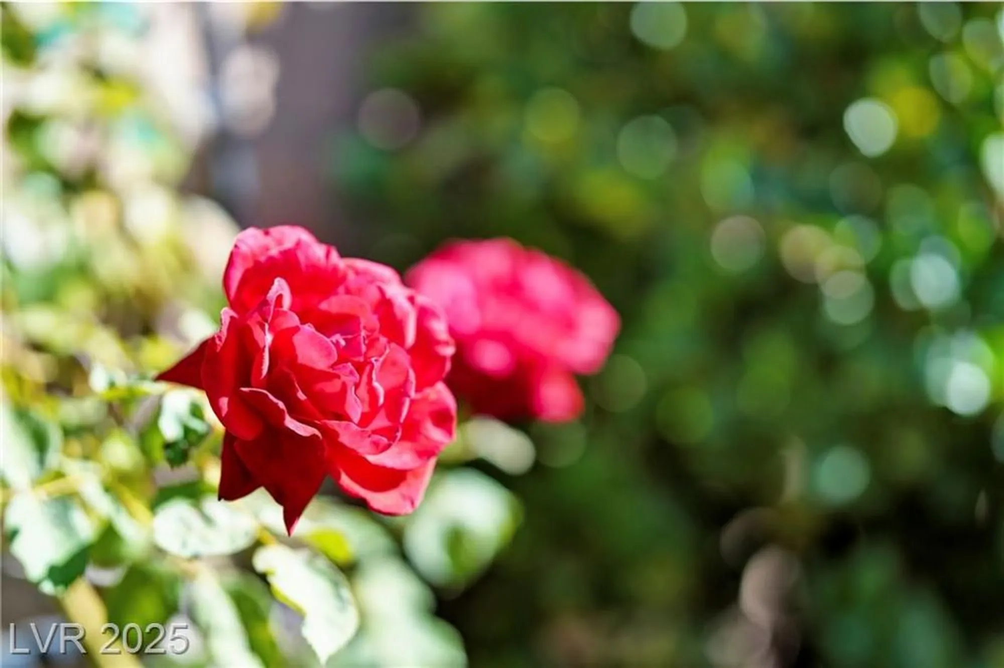 Property Slideshow image 18 of 68 | 1844 wolfcreek falls ct, Henderson, NV, 89044